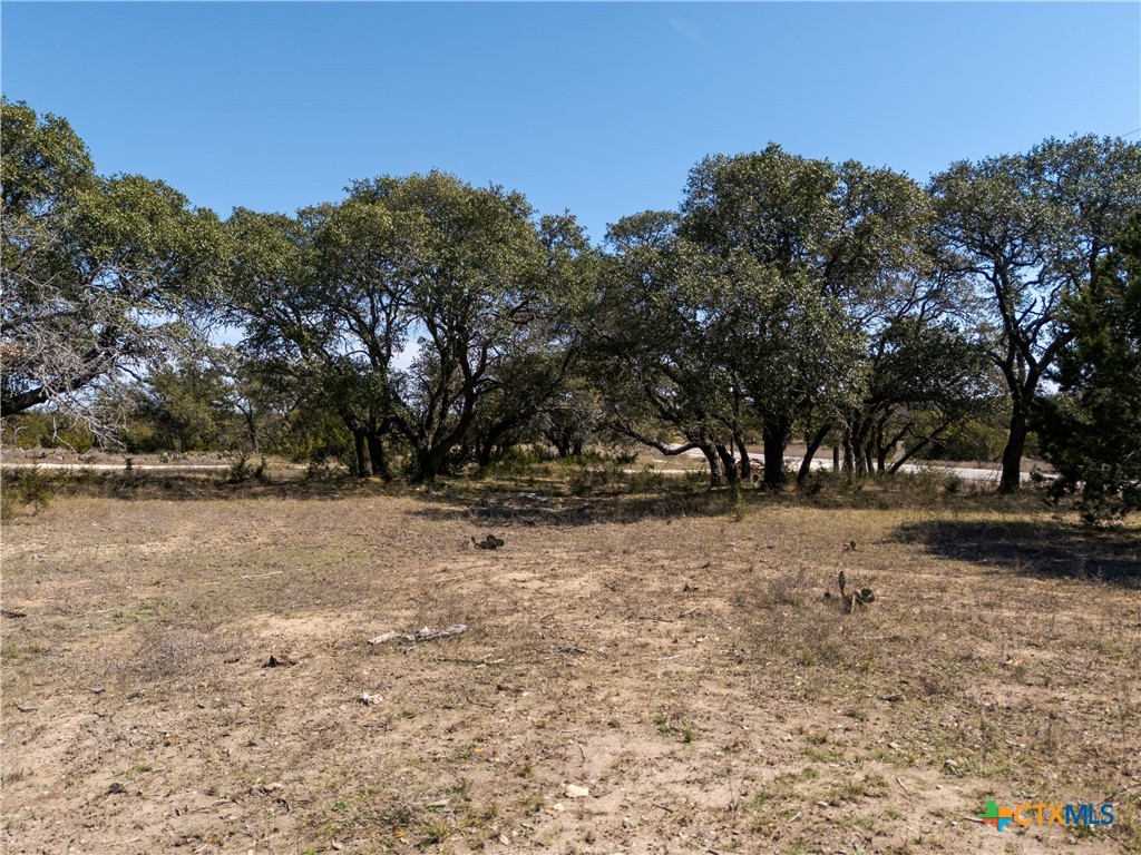 Tbd Tbd Drive Lampasas, TX 76550 - Photo 1 of 22 a view of dirt yard with a tree