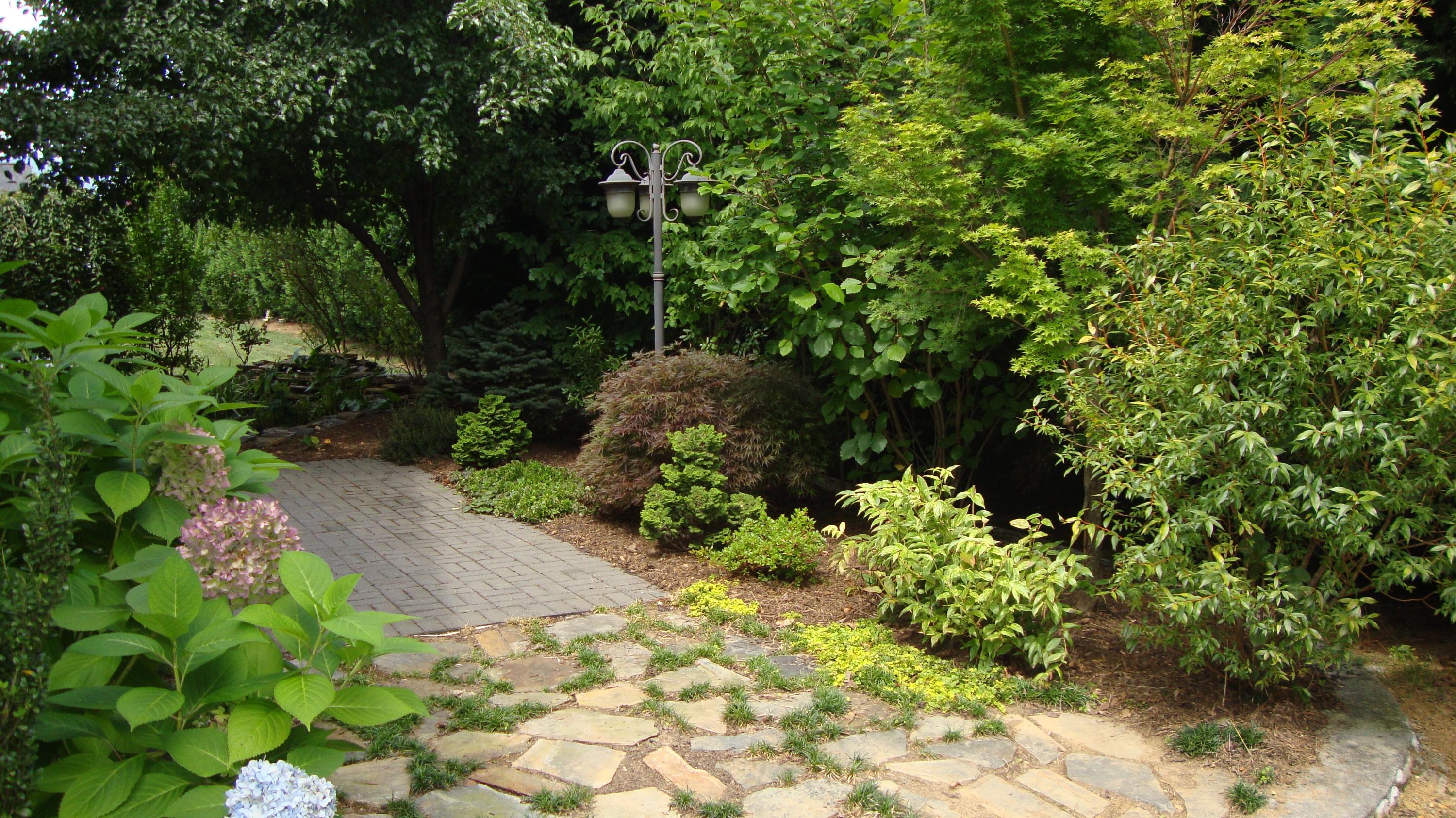 1942 Millbridge Road Salem, VA 24153 - Photo 44 of 52 A View Of The Private Back Yard