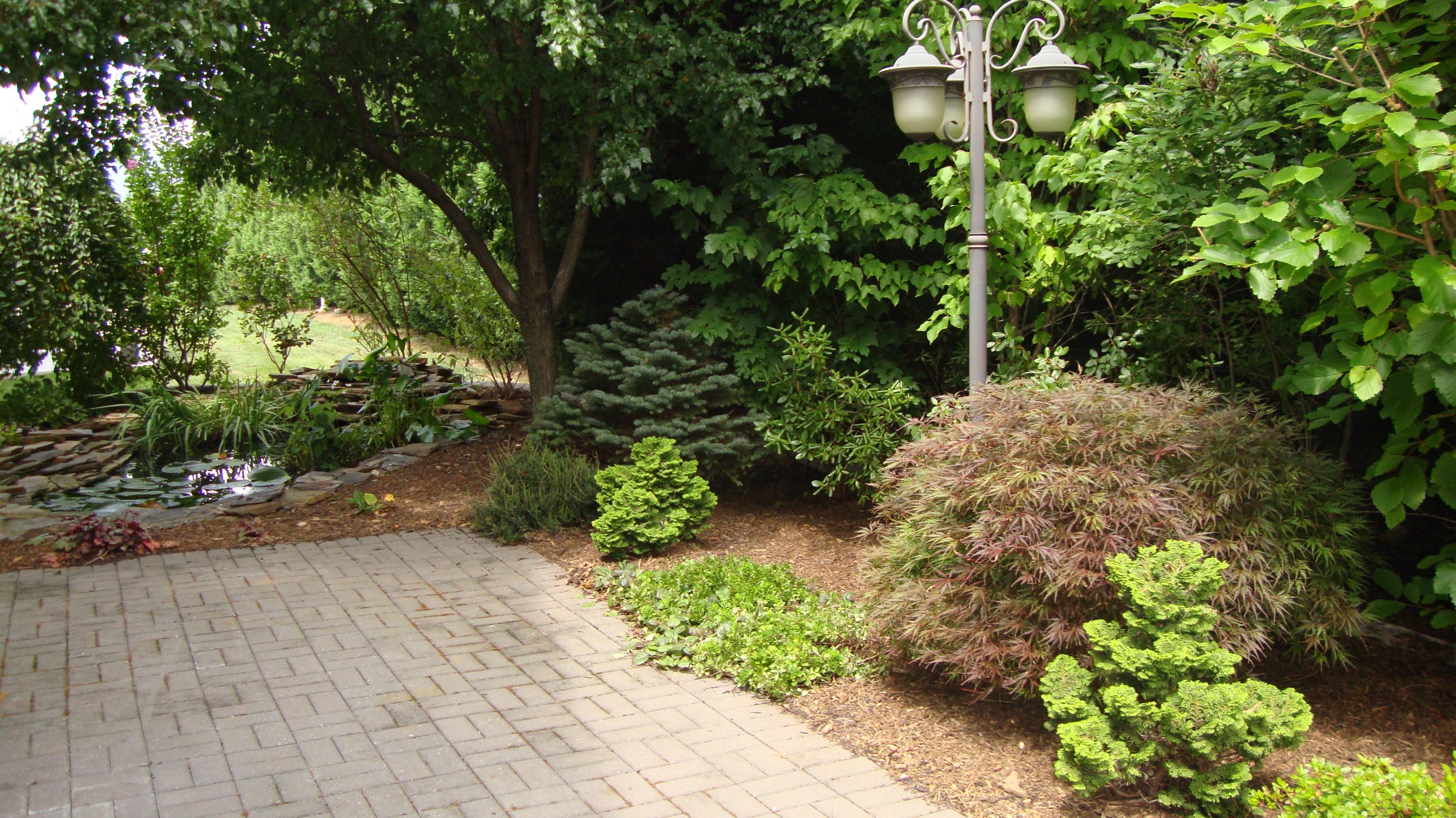 1942 Millbridge Road Salem, VA 24153 - Photo 45 of 52 Paved Brick Patio and Koi Pond
