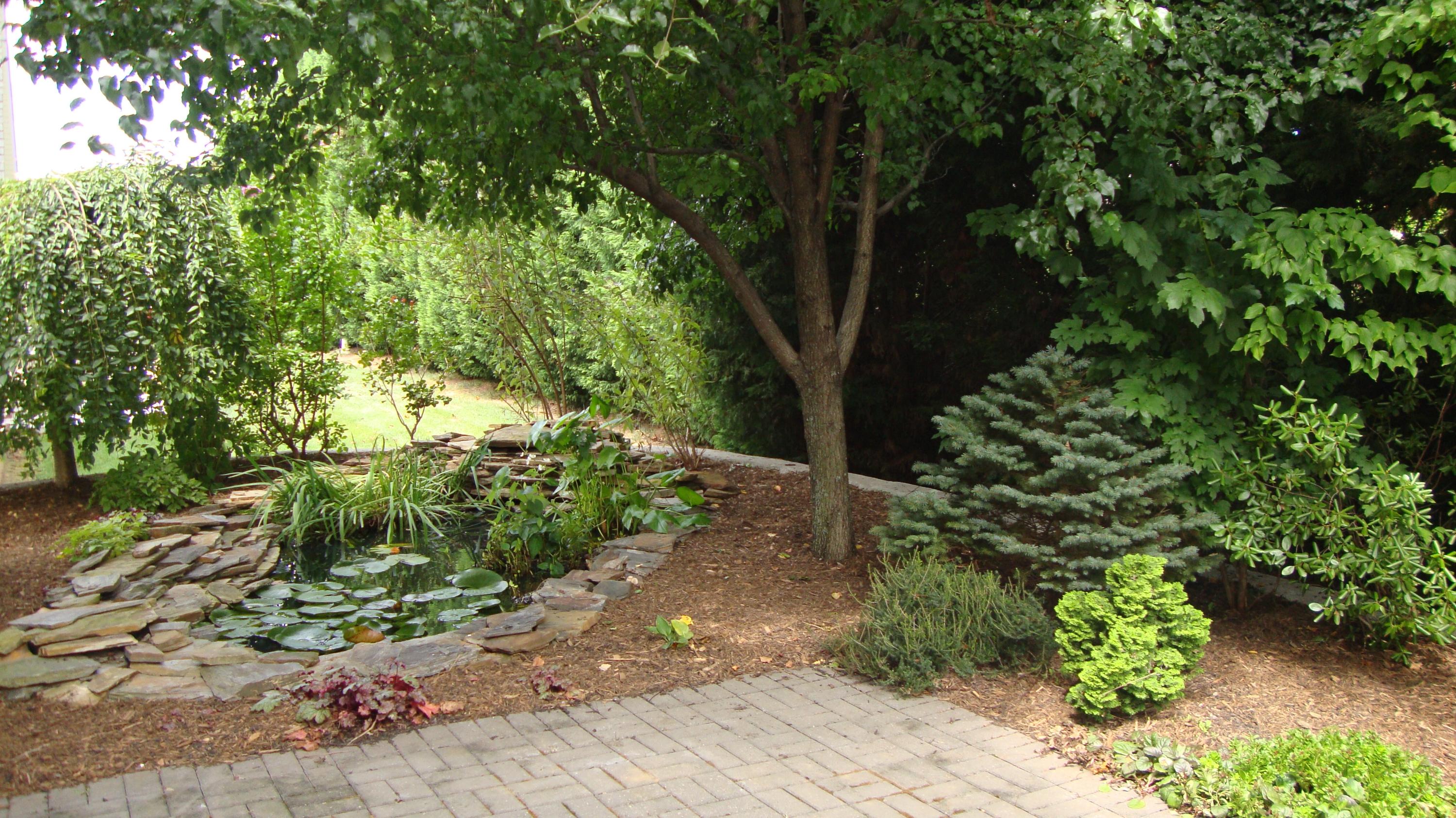 1942 Millbridge Road Salem, VA 24153 - Photo 46 of 52 A View of The Koi Pond