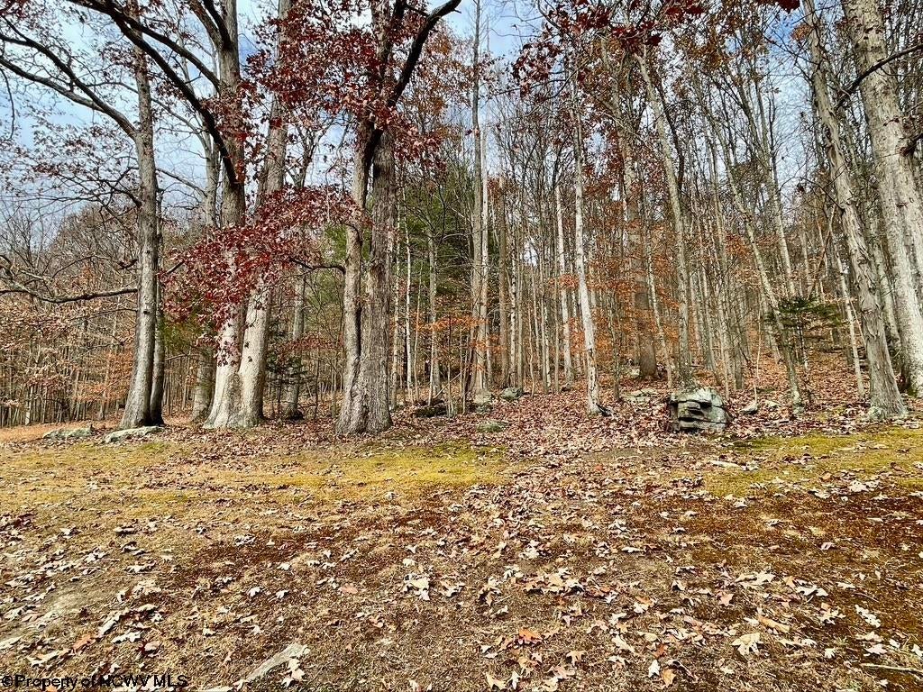 1187 Bunner Ridge Road Fairmont, WV 26554 - Photo 48 of 50 Gallery Image 48