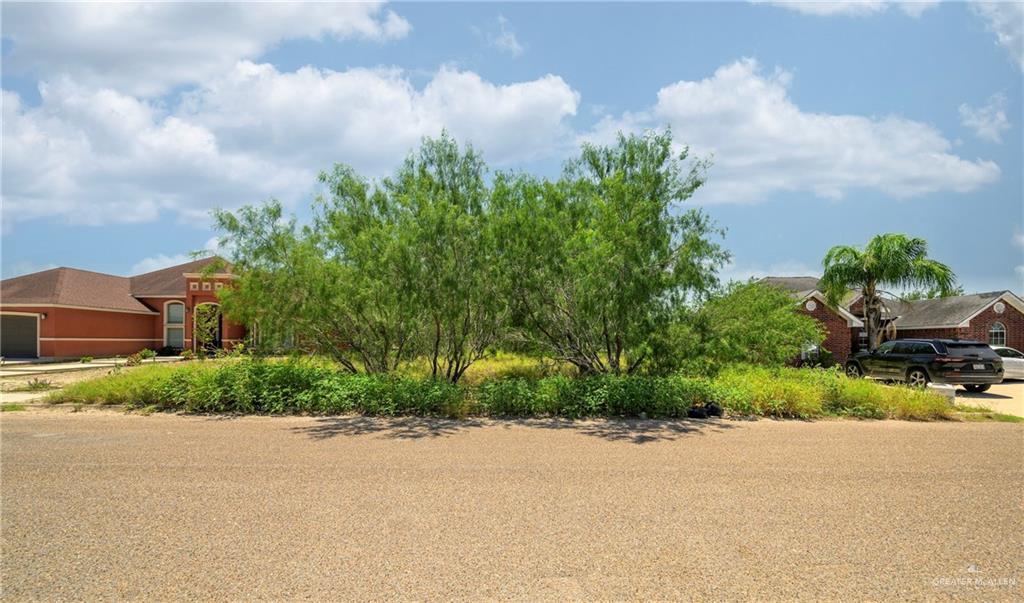 0 Shady Grove Drive Rio Grande City, TX 78582 - Photo 11 of 12