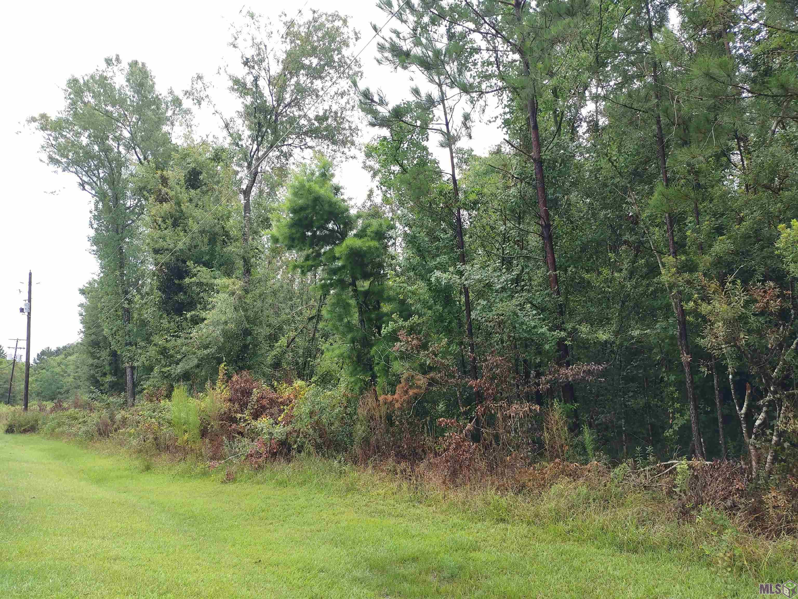 Tbd North Tbd N Walker Road Walker, LA 70785 - Photo 1 of 11 Gallery Image 1
