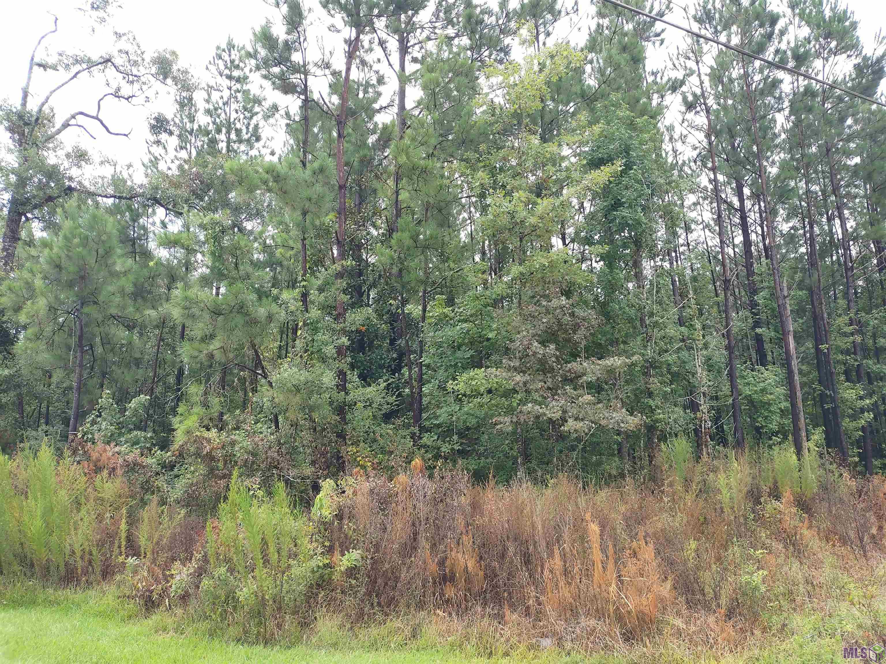 Tbd North Tbd N Walker Road Walker, LA 70785 - Photo 3 of 11 Gallery Image 3