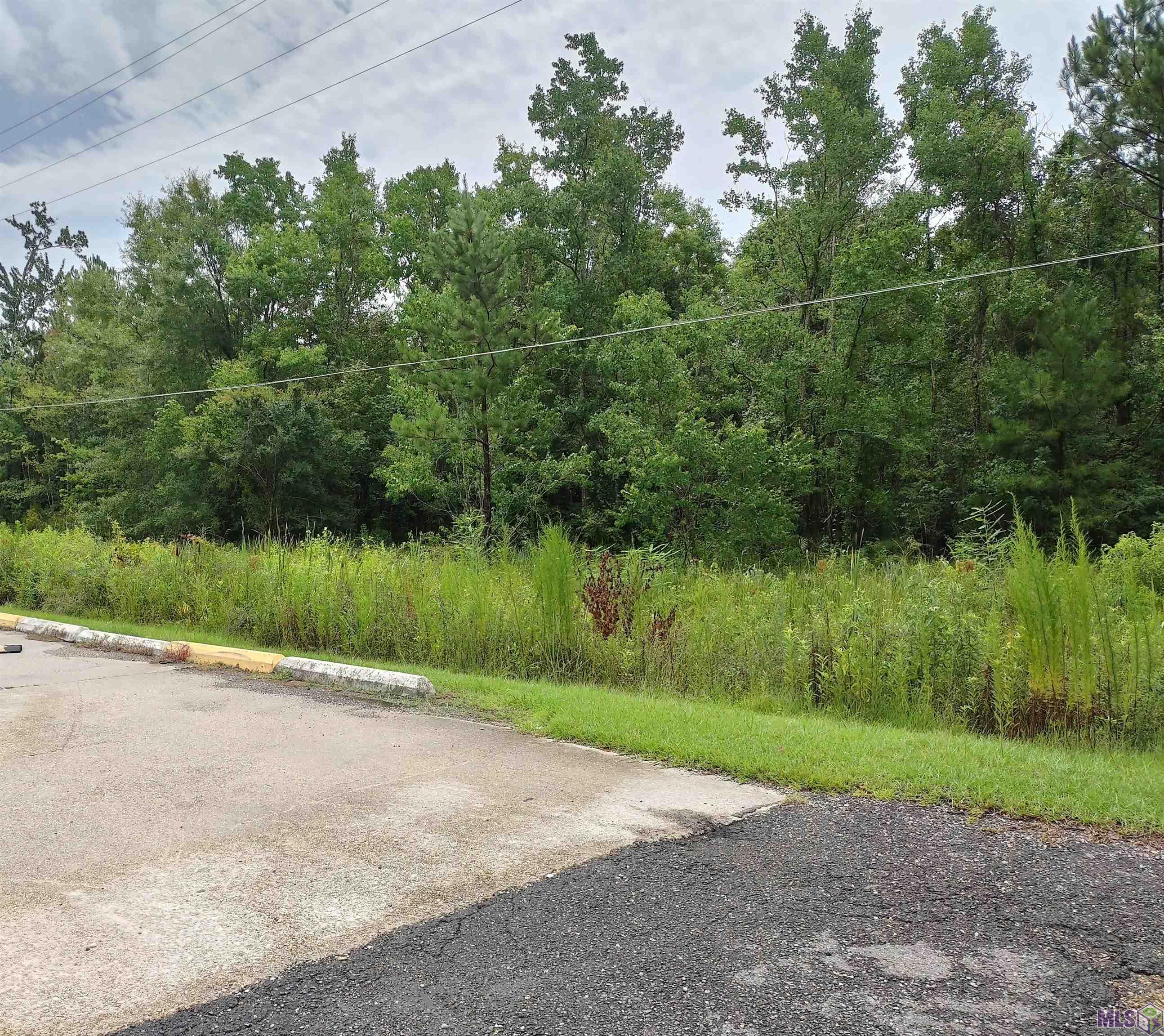 Tbd North Tbd N Walker Road Walker, LA 70785 - Photo 4 of 11 Gallery Image 4