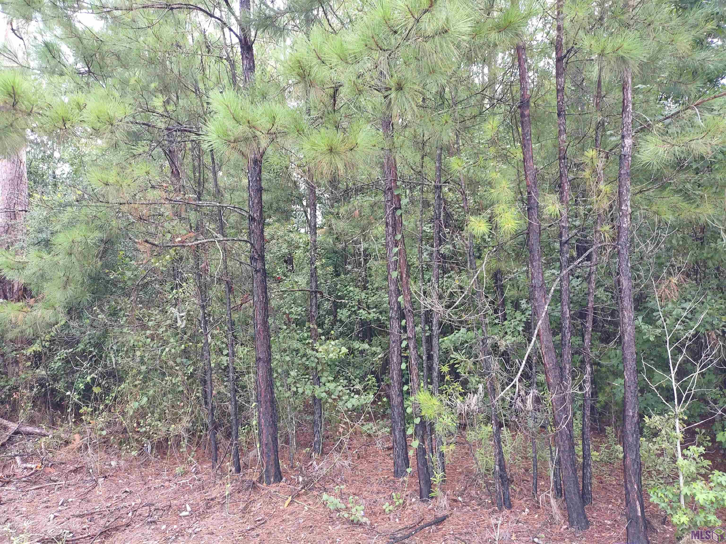 Tbd North Tbd N Walker Road Walker, LA 70785 - Photo 5 of 11 Gallery Image 5