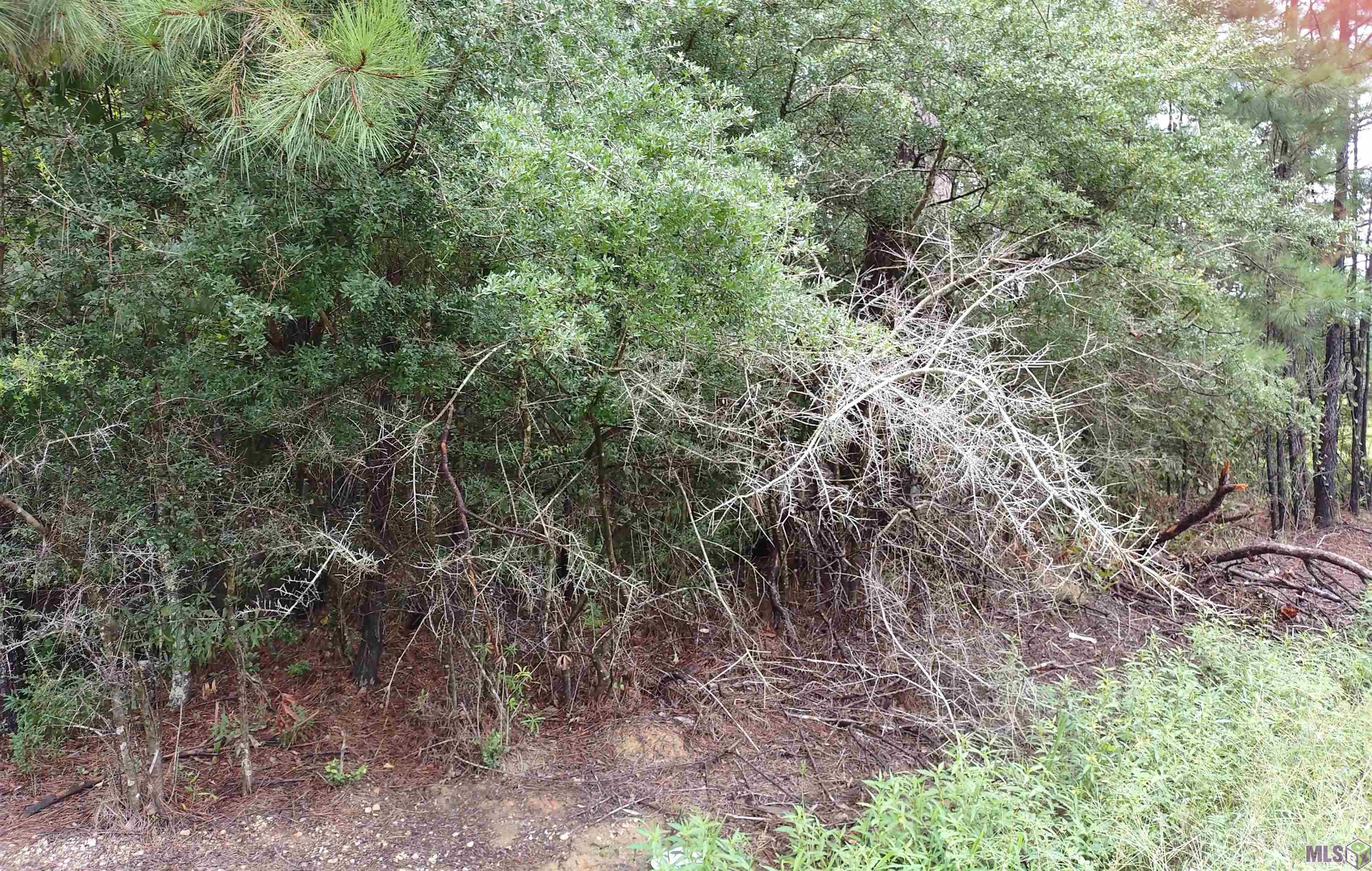 Tbd North Tbd N Walker Road Walker, LA 70785 - Photo 6 of 11 Gallery Image 6