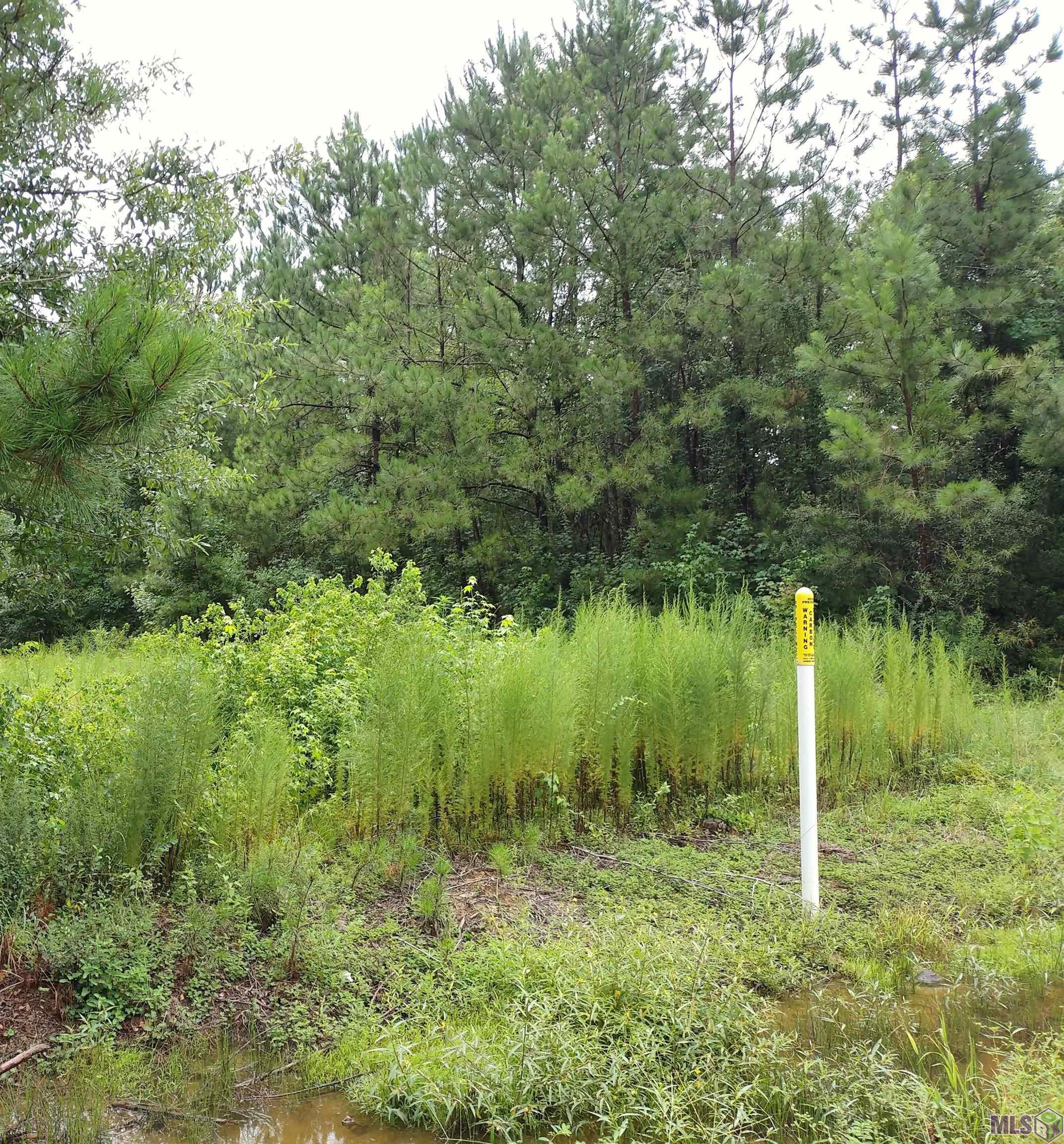 Tbd North Tbd N Walker Road Walker, LA 70785 - Photo 8 of 11 Gallery Image 8