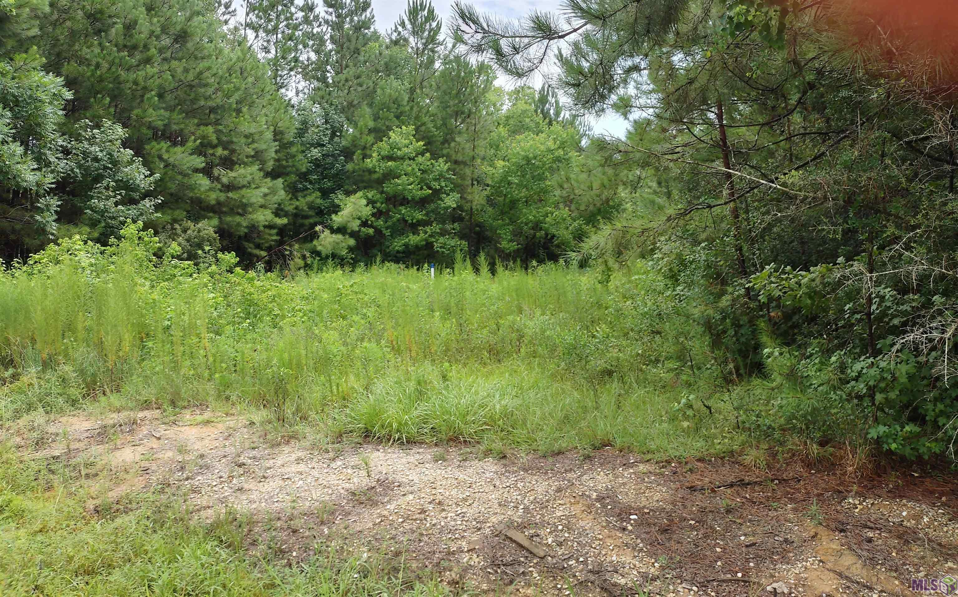 Tbd North Tbd N Walker Road Walker, LA 70785 - Photo 9 of 11 Gallery Image 9