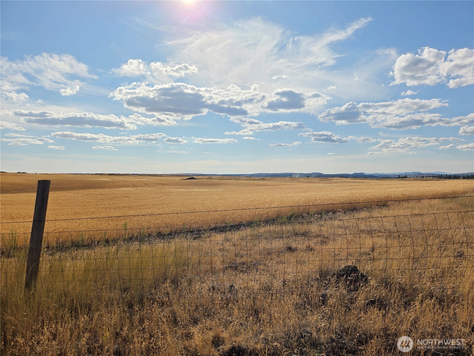 35251 Crescent Road North, Unit 4 Reardan, WA 99029 - Photo 11 of 17 a view of a lake and mountain in the back