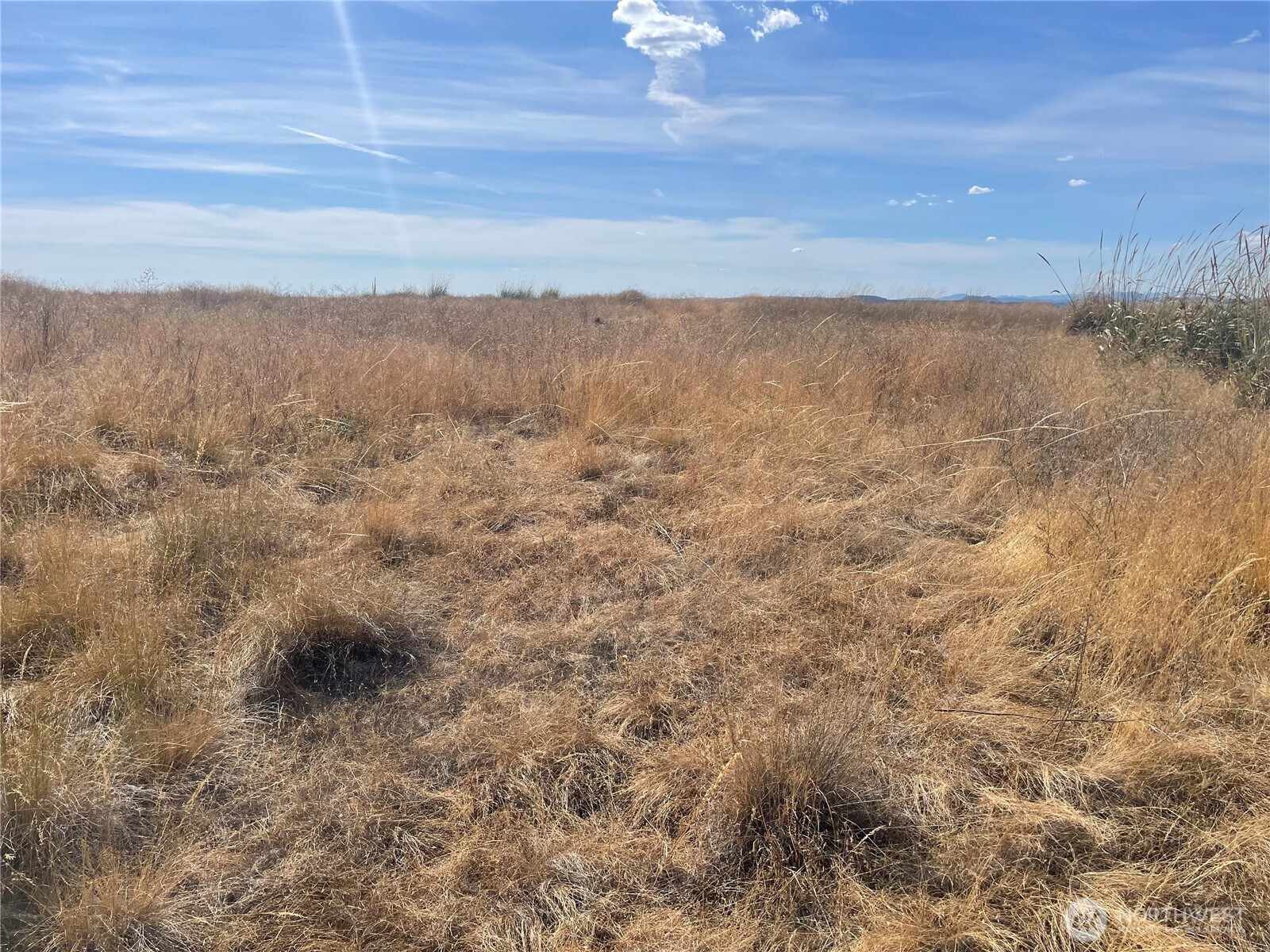 35251 Crescent Road North, Unit 4 Reardan, WA 99029 - Photo 7 of 17