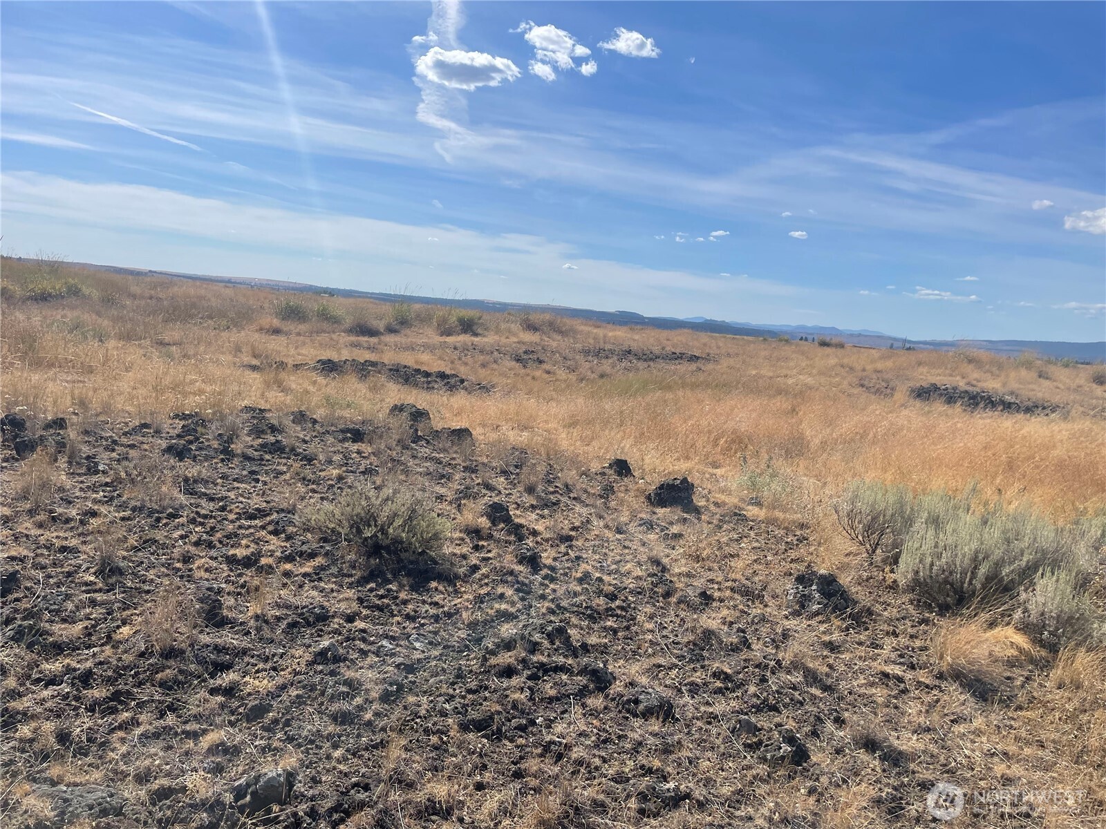 35251 Crescent Road North, Unit 4 Reardan, WA 99029 - Photo 9 of 17