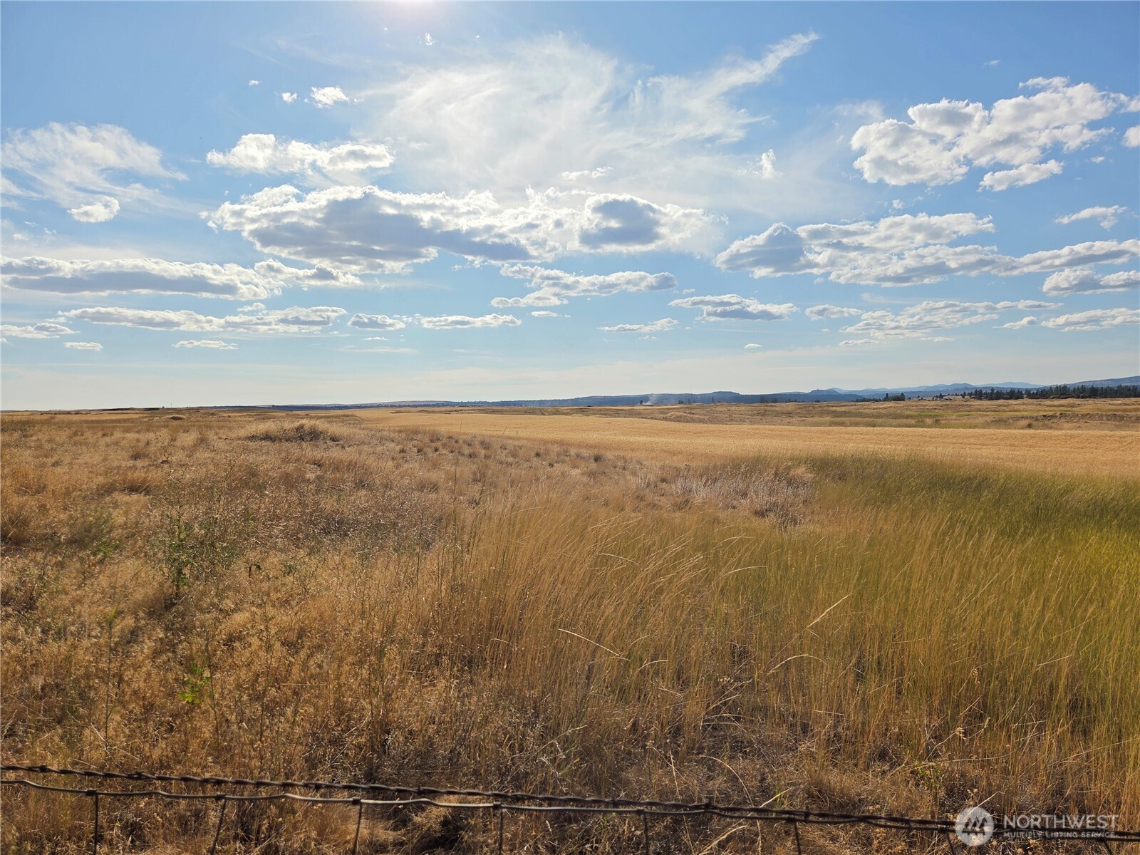 35251 Crescent Road North, Unit 4 Reardan, WA 99029 - Photo 10 of 17 a view of an ocean