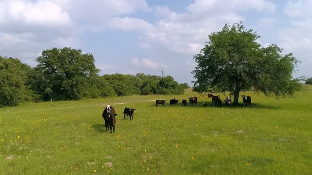 $2,132,763 | Undisclosed Address, Harwood, TX 78632