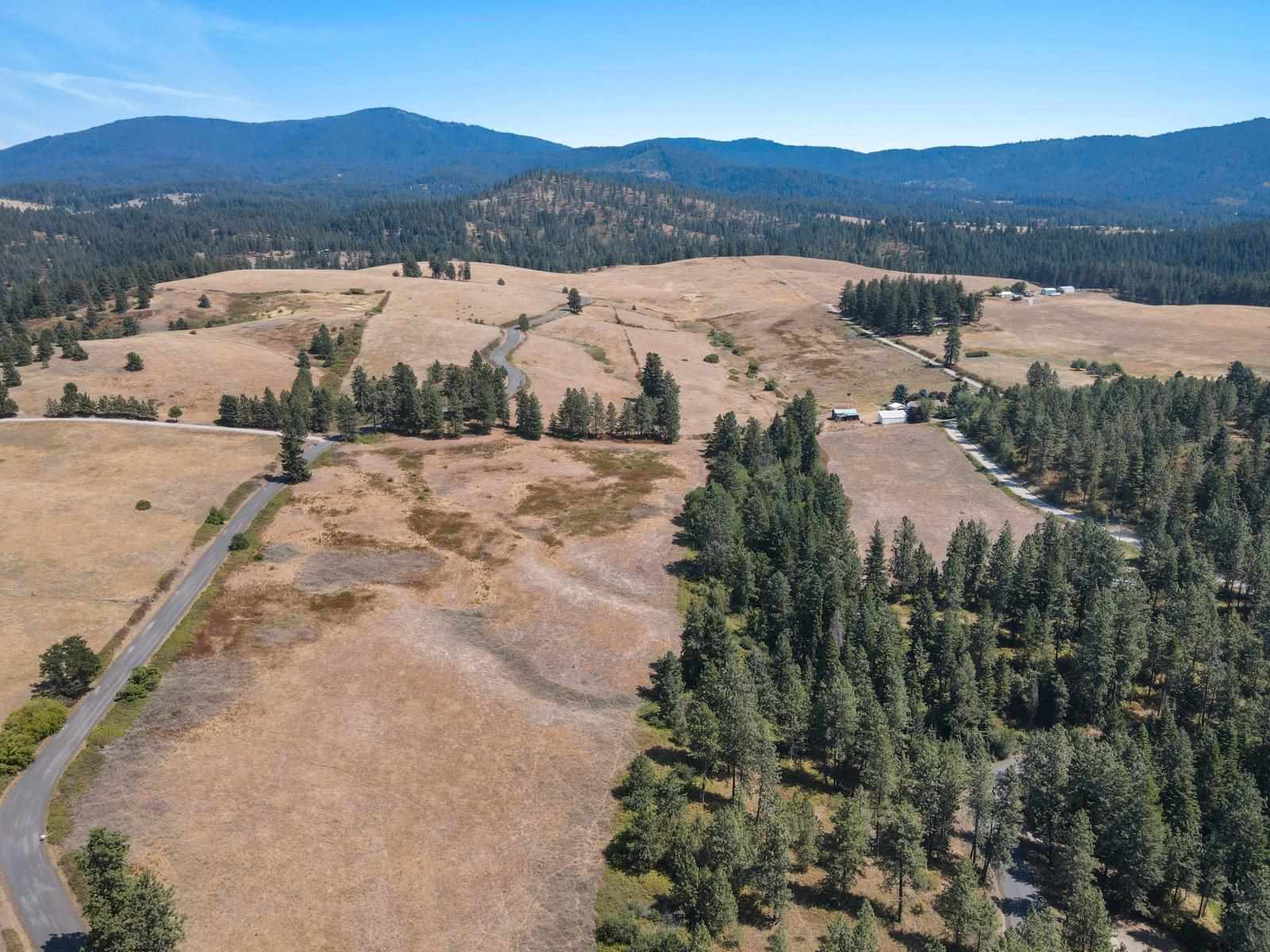 12415 East Staley Road Chattaroy, WA 99003 - Photo 6 of 29