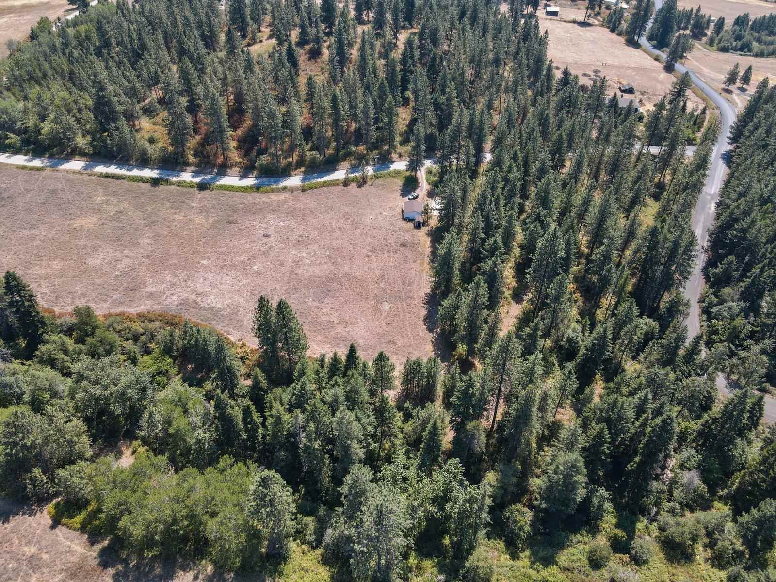 12415 East Staley Road Chattaroy, WA 99003 - Photo 8 of 29