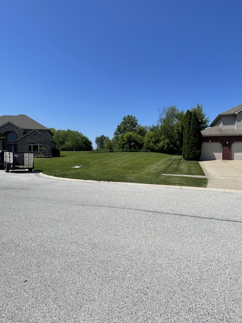 321 Pine Street Beecher, IL 60401 - Photo 3 of 4 a view of a park