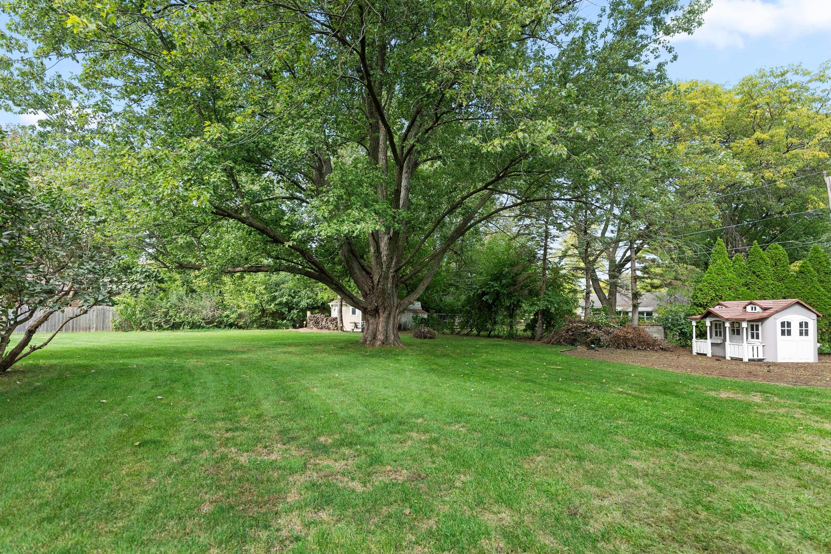 23W620 Walnut Street Roselle, IL 60172 - Photo 59 of 71 a view of a garden with a tree