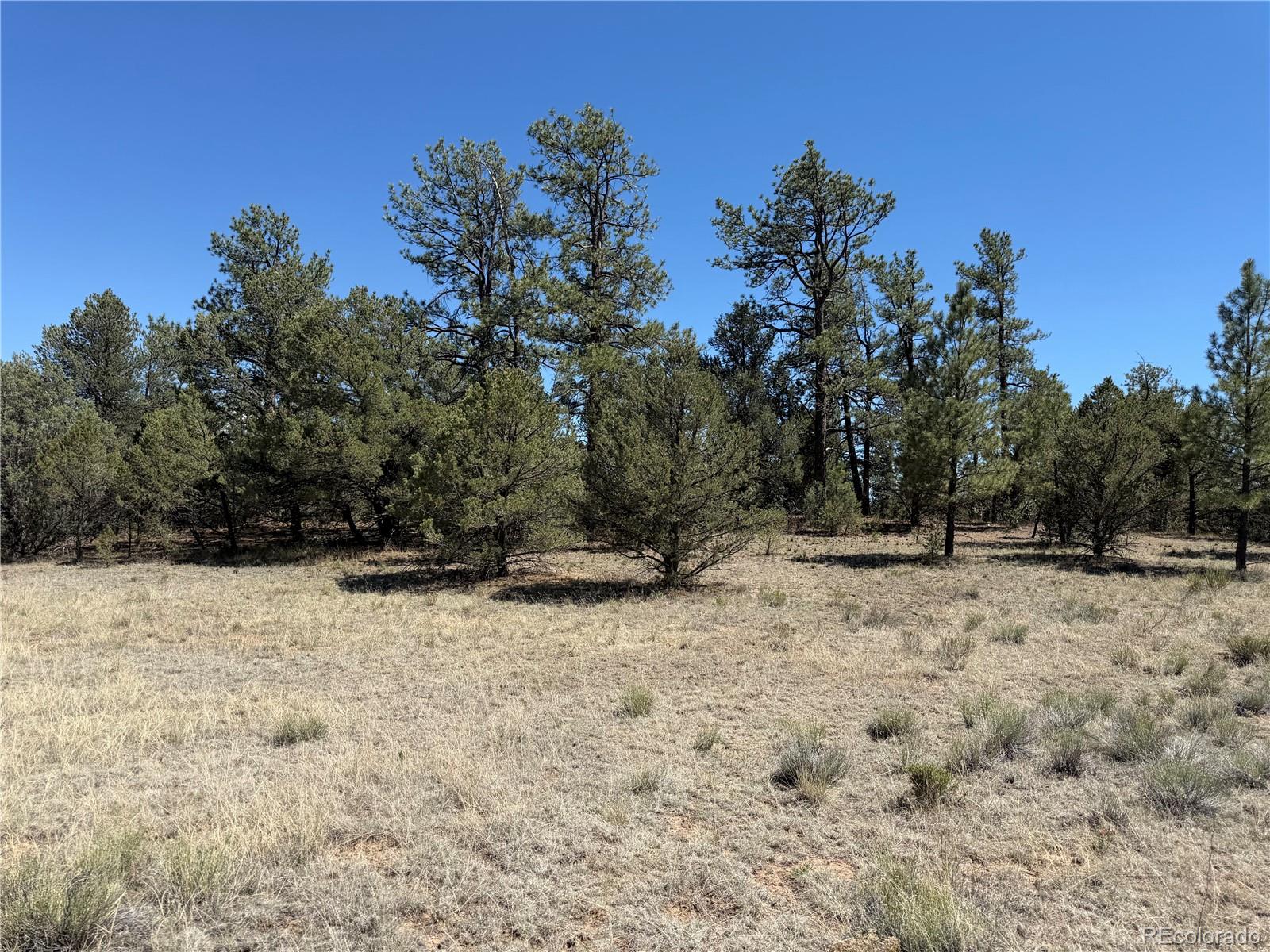 520 West View Road Cotopaxi, CO 81223 - Photo 18 of 28 Gallery Image 18