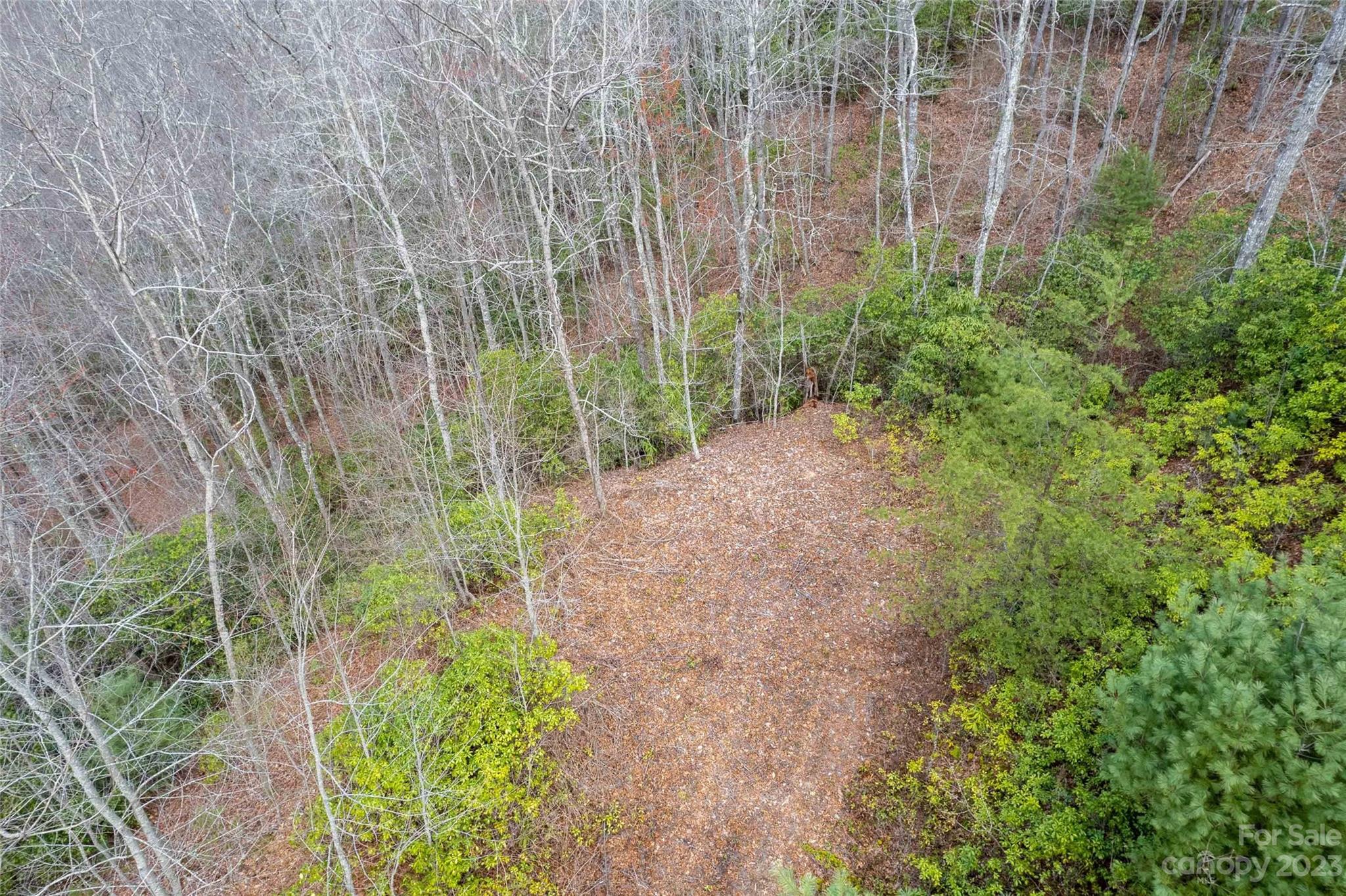176 Dime Ridge, Unit 4 Sylva, NC 28779 - Photo 28 of 30 Gallery Image 28