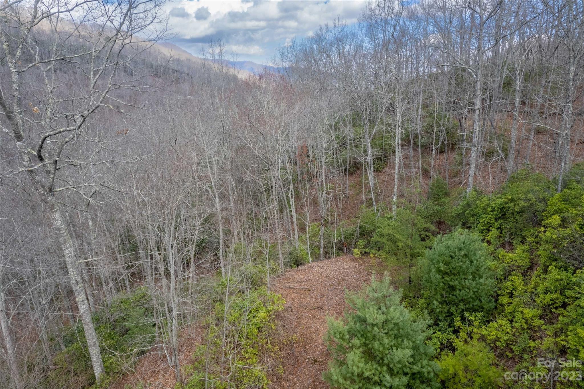 176 Dime Ridge, Unit 4 Sylva, NC 28779 - Photo 29 of 30 Gallery Image 29
