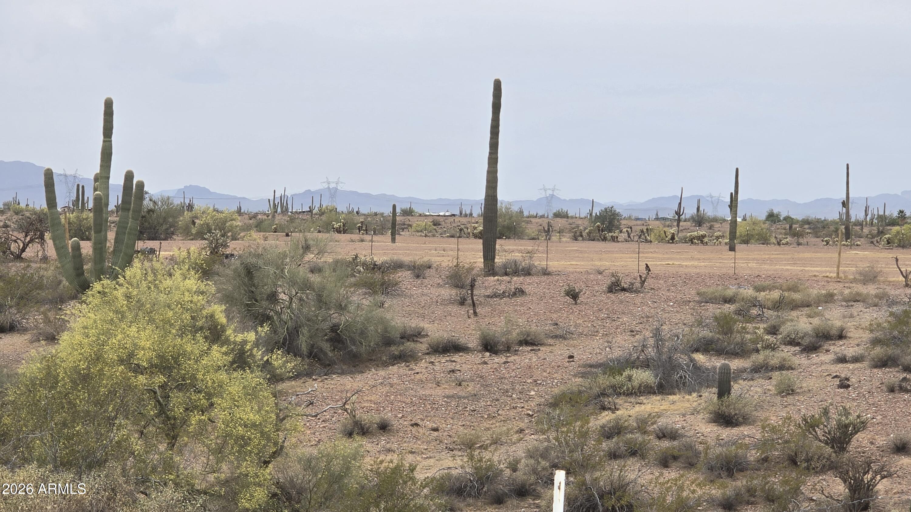 29540 West Olesen Road Wittmann, AZ 85361 - Photo 12 of 23 20260331_100916