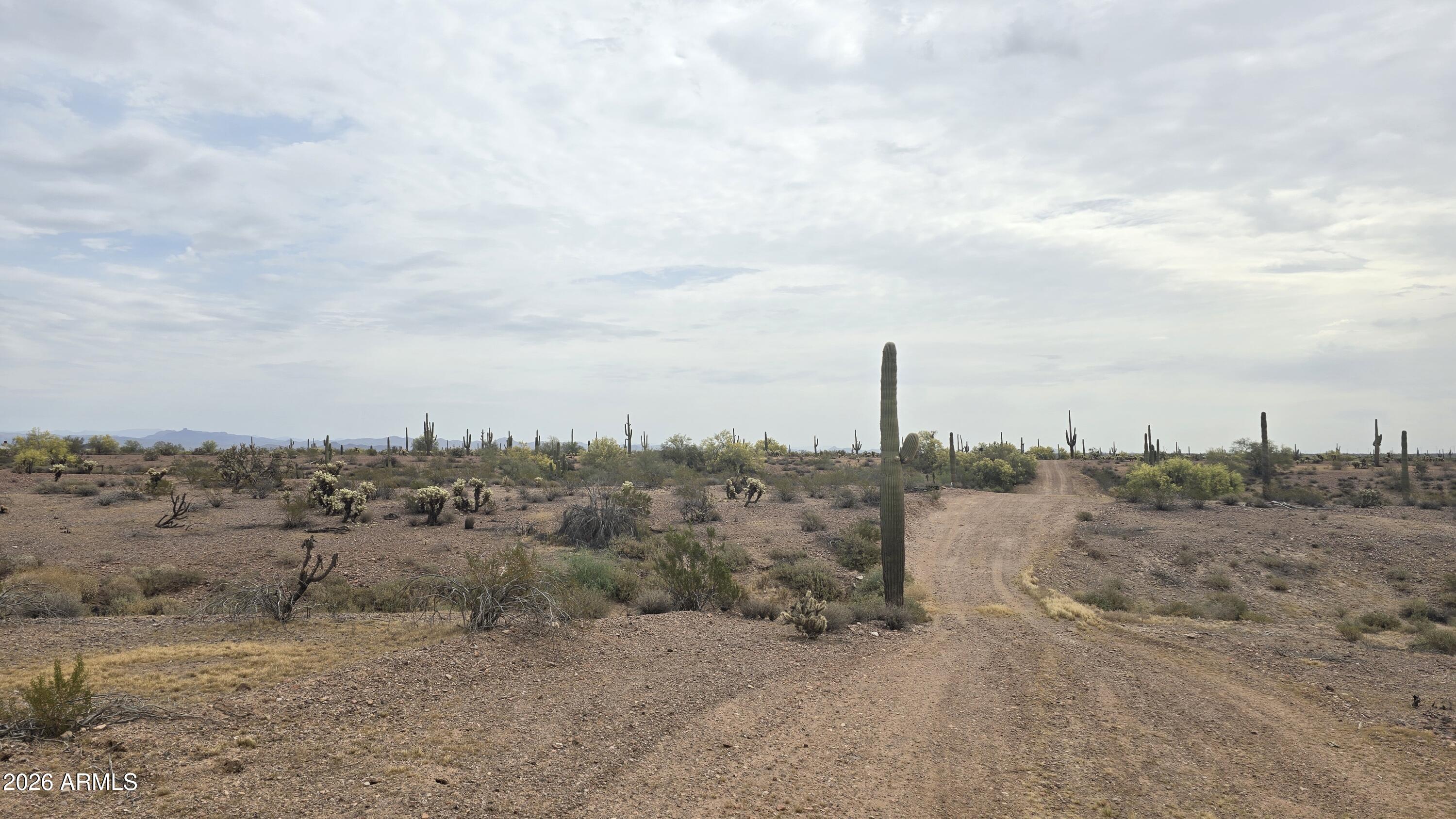 29540 West Olesen Road Wittmann, AZ 85361 - Photo 18 of 23 20260331_101225