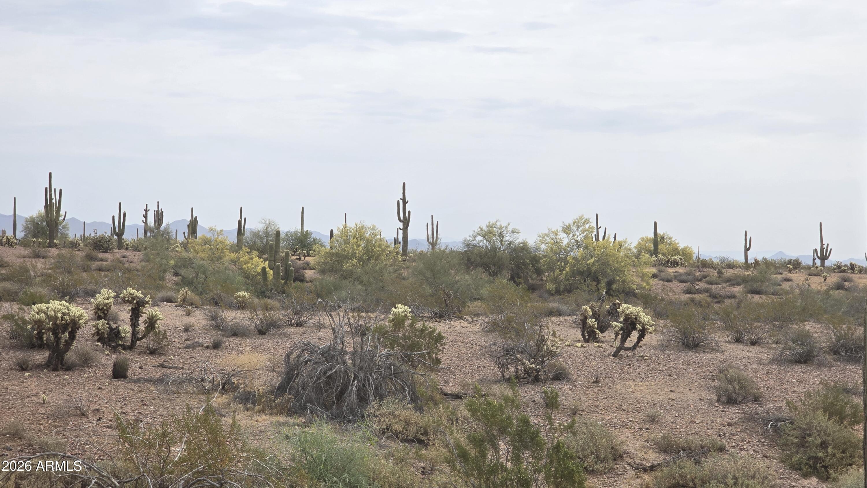 29540 West Olesen Road Wittmann, AZ 85361 - Photo 19 of 23 20260331_101229