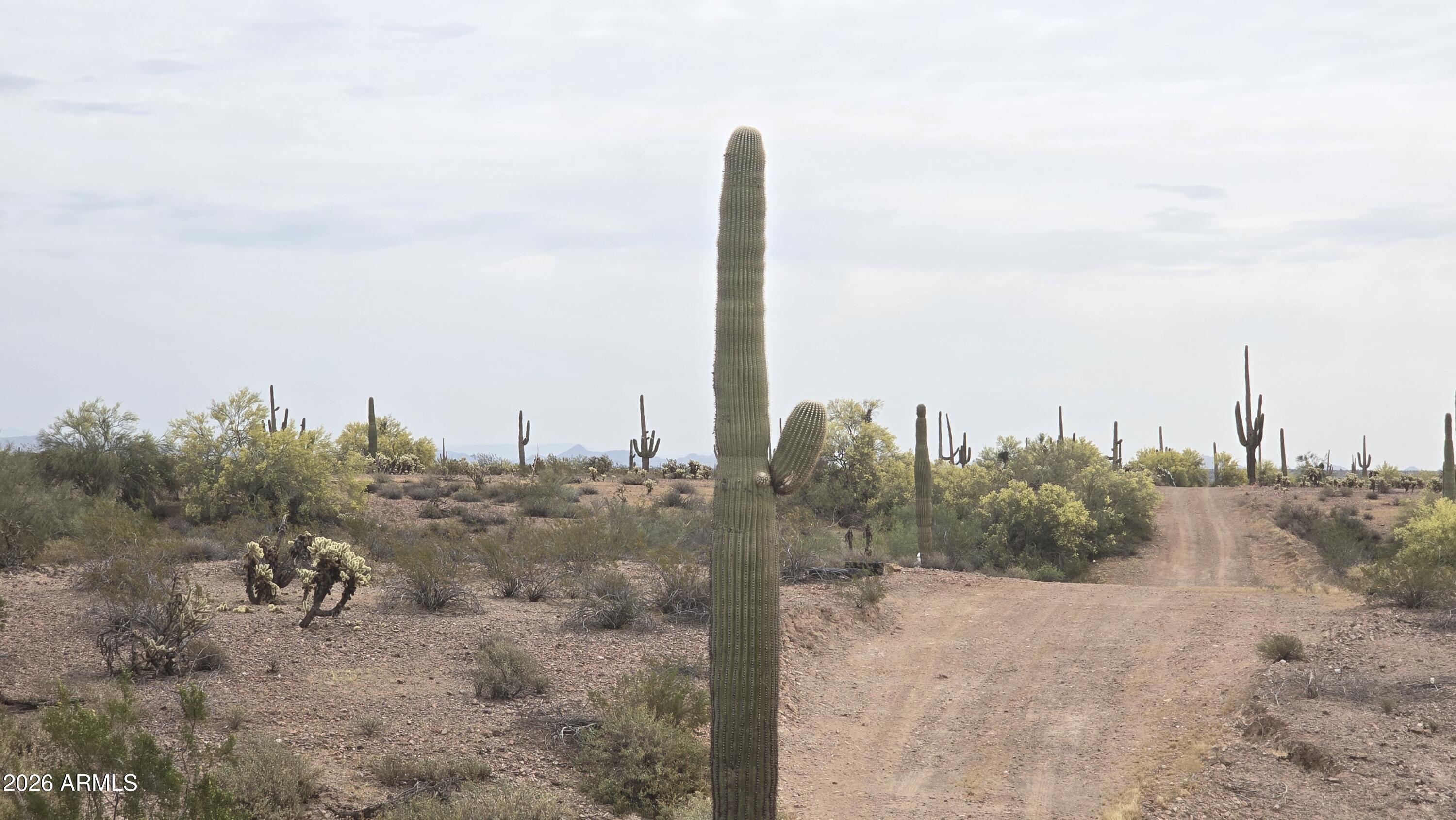 29540 West Olesen Road Wittmann, AZ 85361 - Photo 20 of 23 20260331_101232