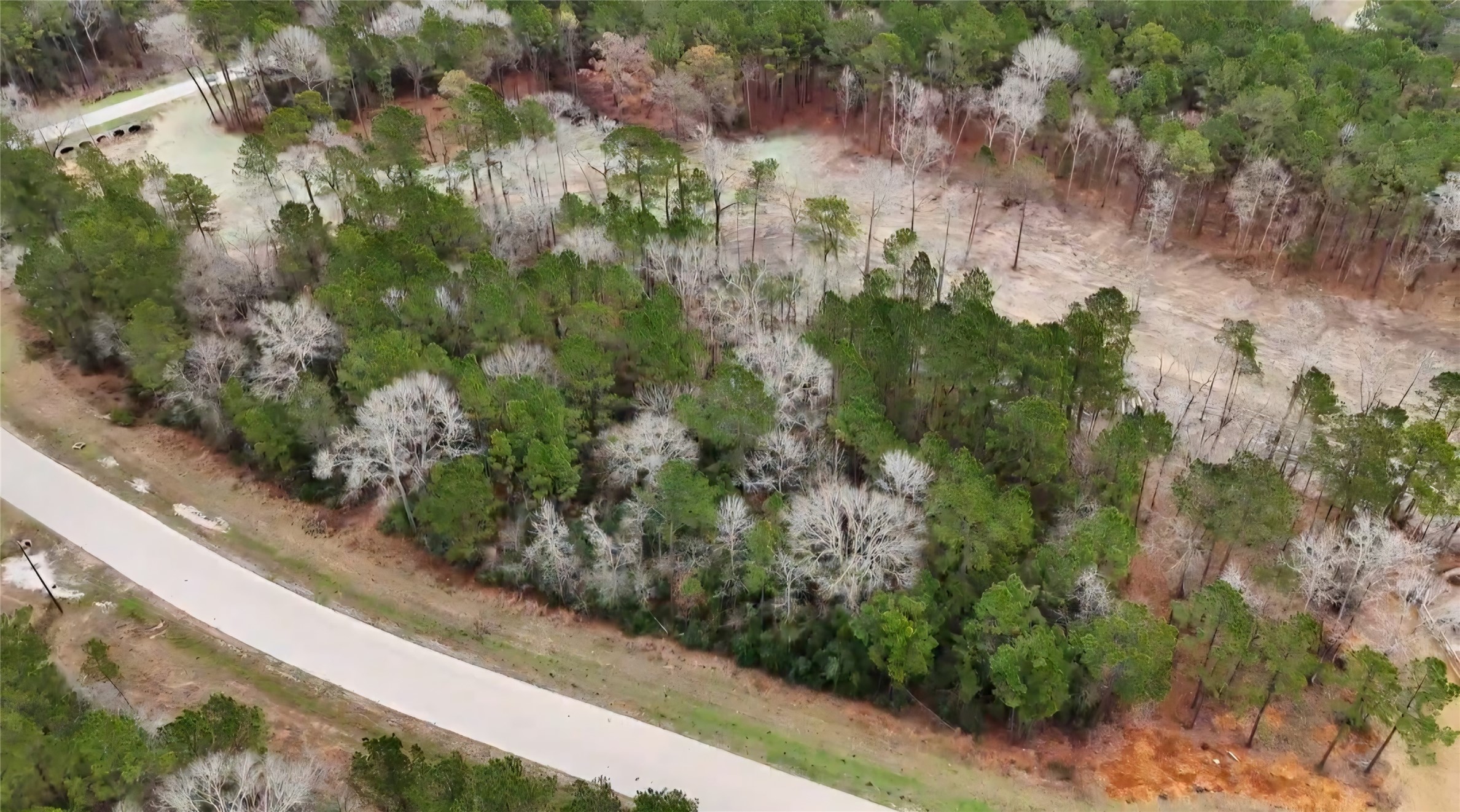 0 Radius Road Huntsville, TX 77340 - Photo 1 of 9 a view of a garden with a tree