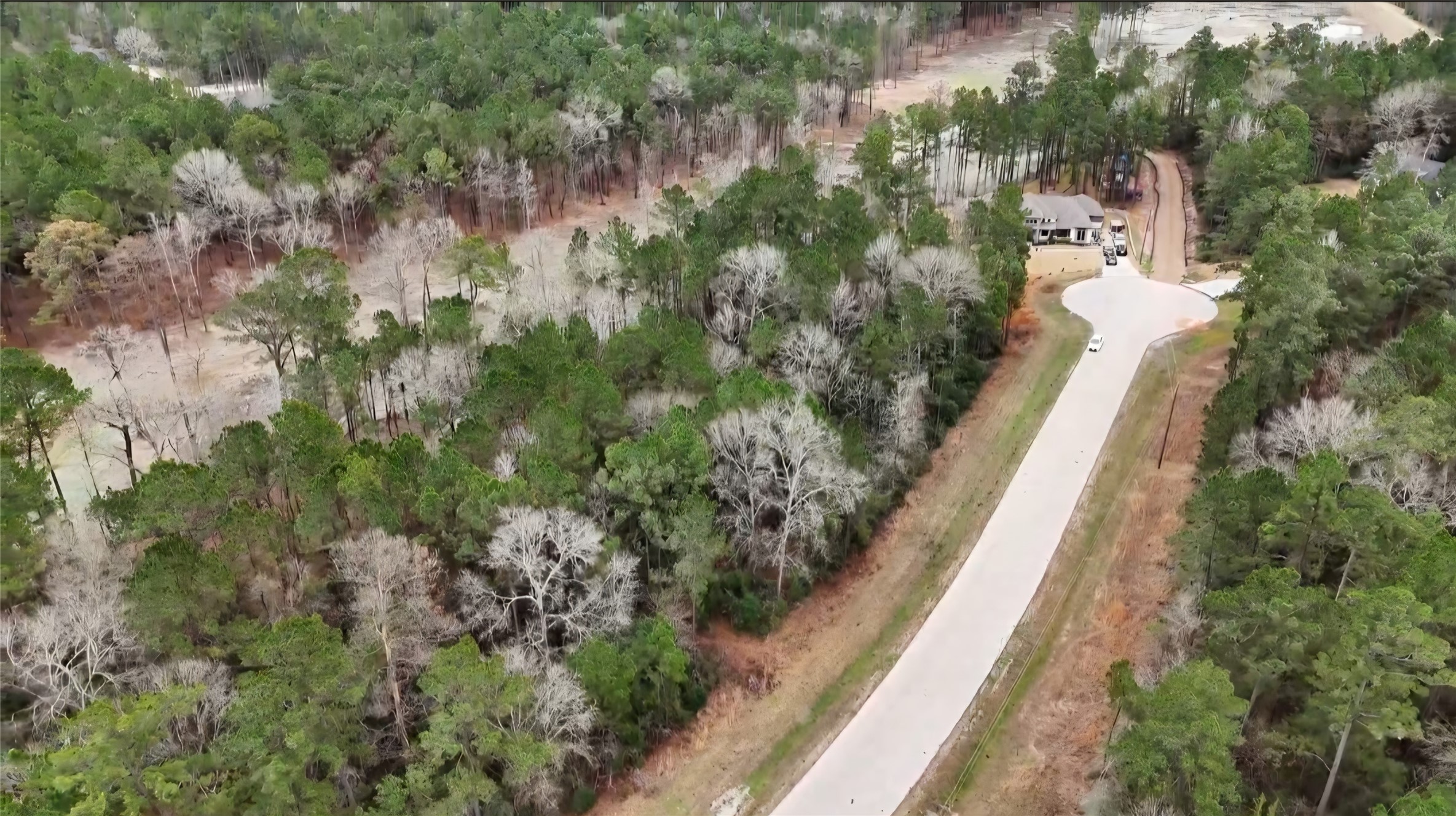 0 Radius Road Huntsville, TX 77340 - Photo 7 of 9 a view of a yard with plants