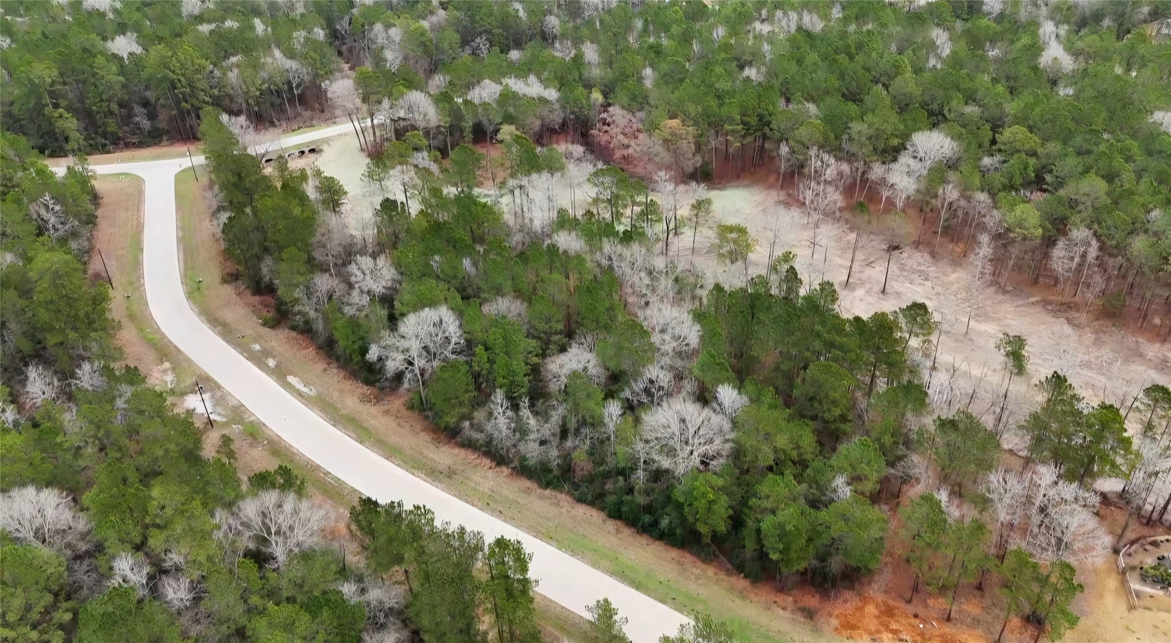 0 Radius Road Huntsville, TX 77340 - Photo 8 of 9 a view of a garden with plants