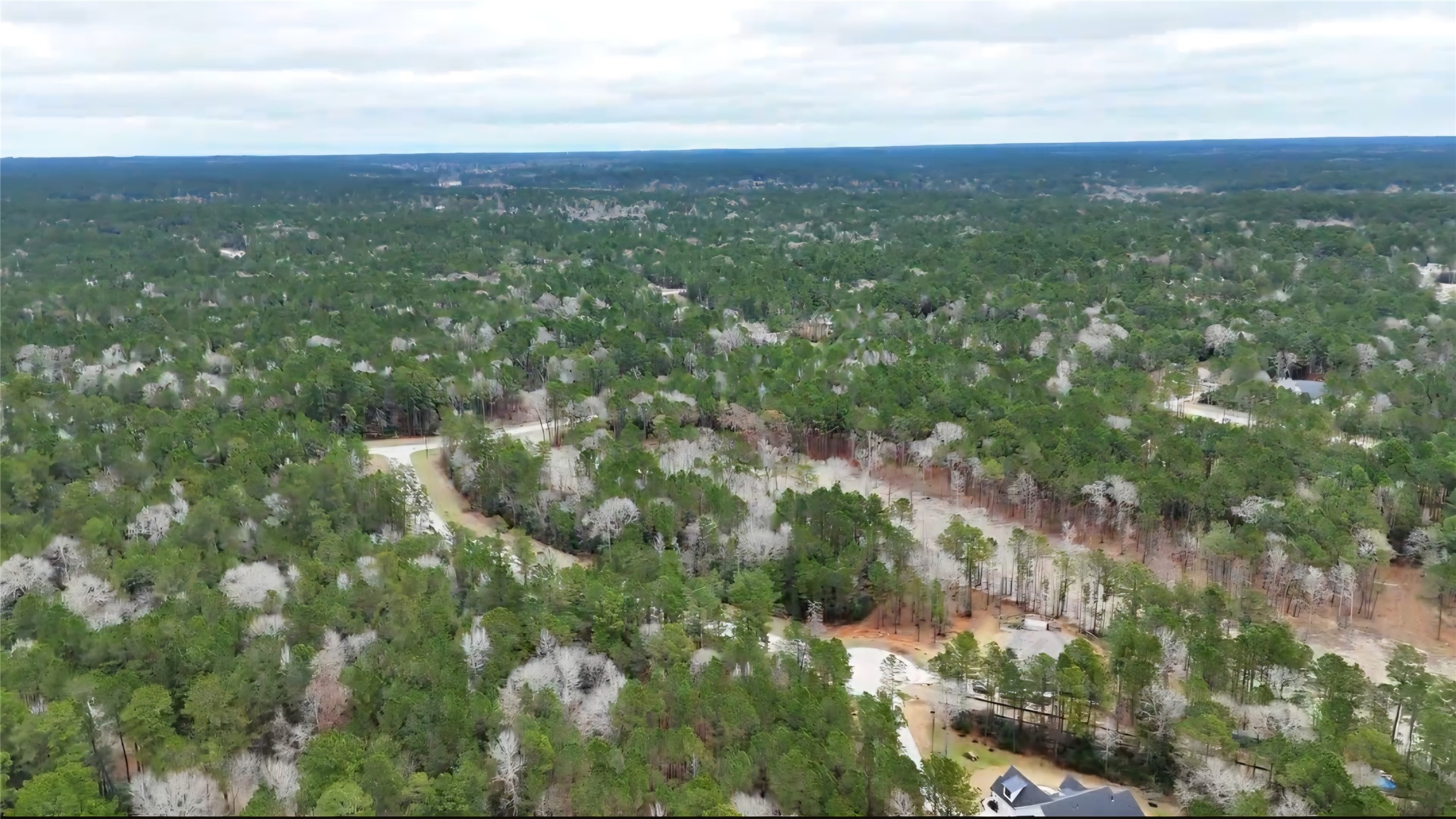 0 Radius Road Huntsville, TX 77340 - Photo 9 of 9 a view of city with green space