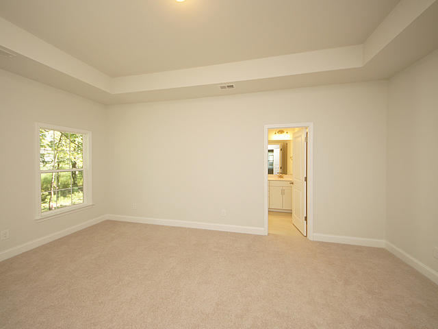 681 Black Pine Road Moncks Corner, SC 29461 - Photo 19 of 48 16