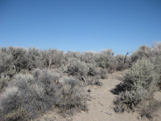 100 Tl Road Christmas Valley, OR 97641 - Photo 2 of 8 SE corner of the property