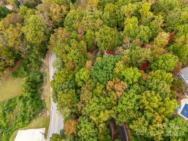 a view of a plants and small yard