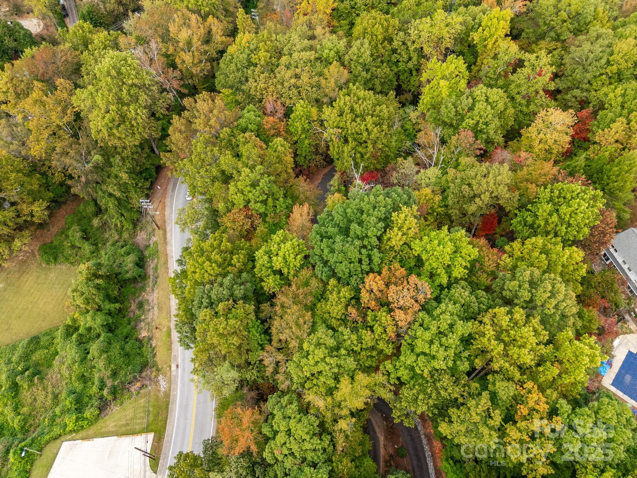 0 Fox Trot Lane Tryon, NC 28782 - Photo 13 of 20 a view of a plants and small yard