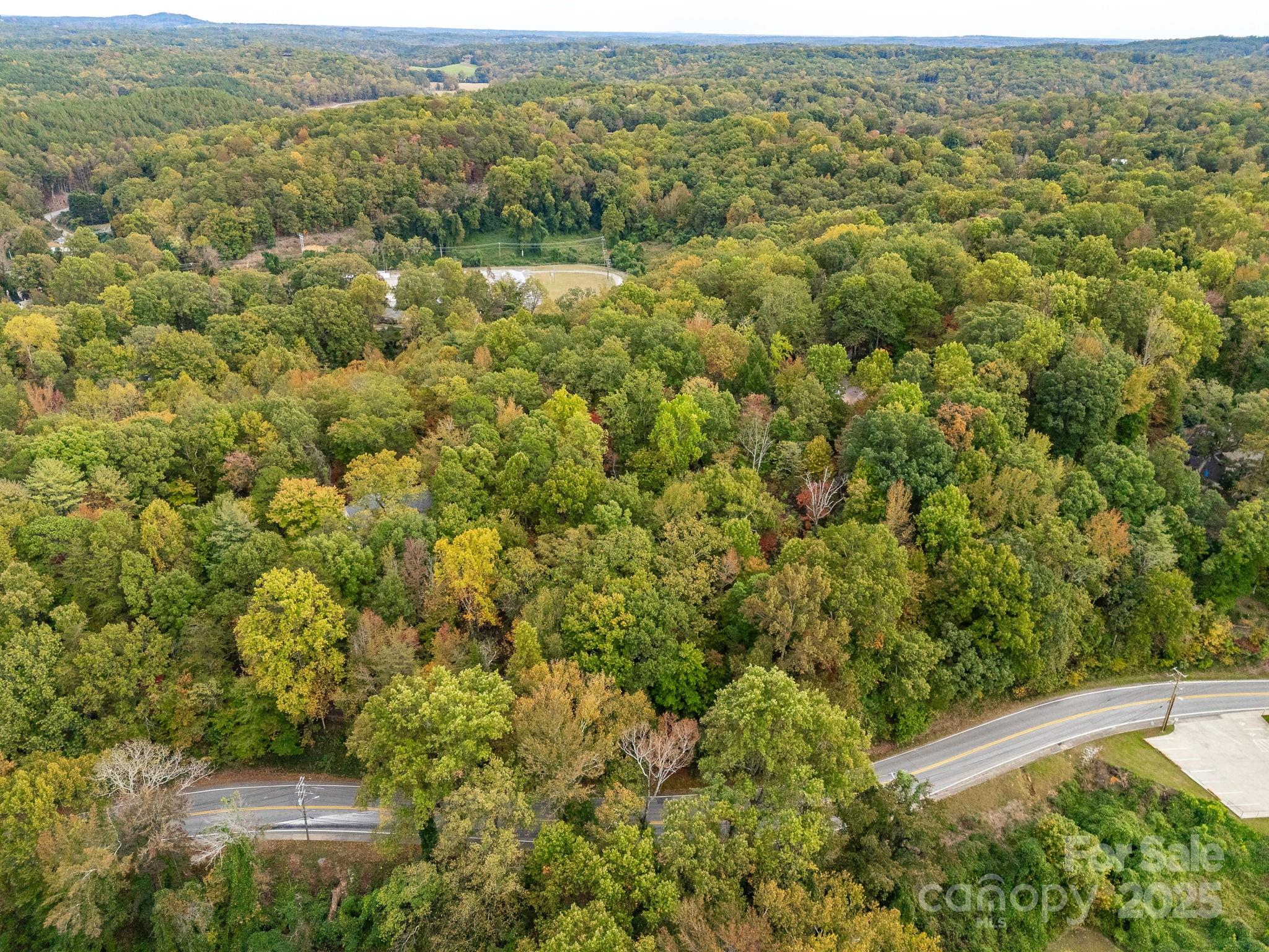 0 Fox Trot Lane Tryon, NC 28782 - Photo 19 of 20 a view of a city with lush green forest