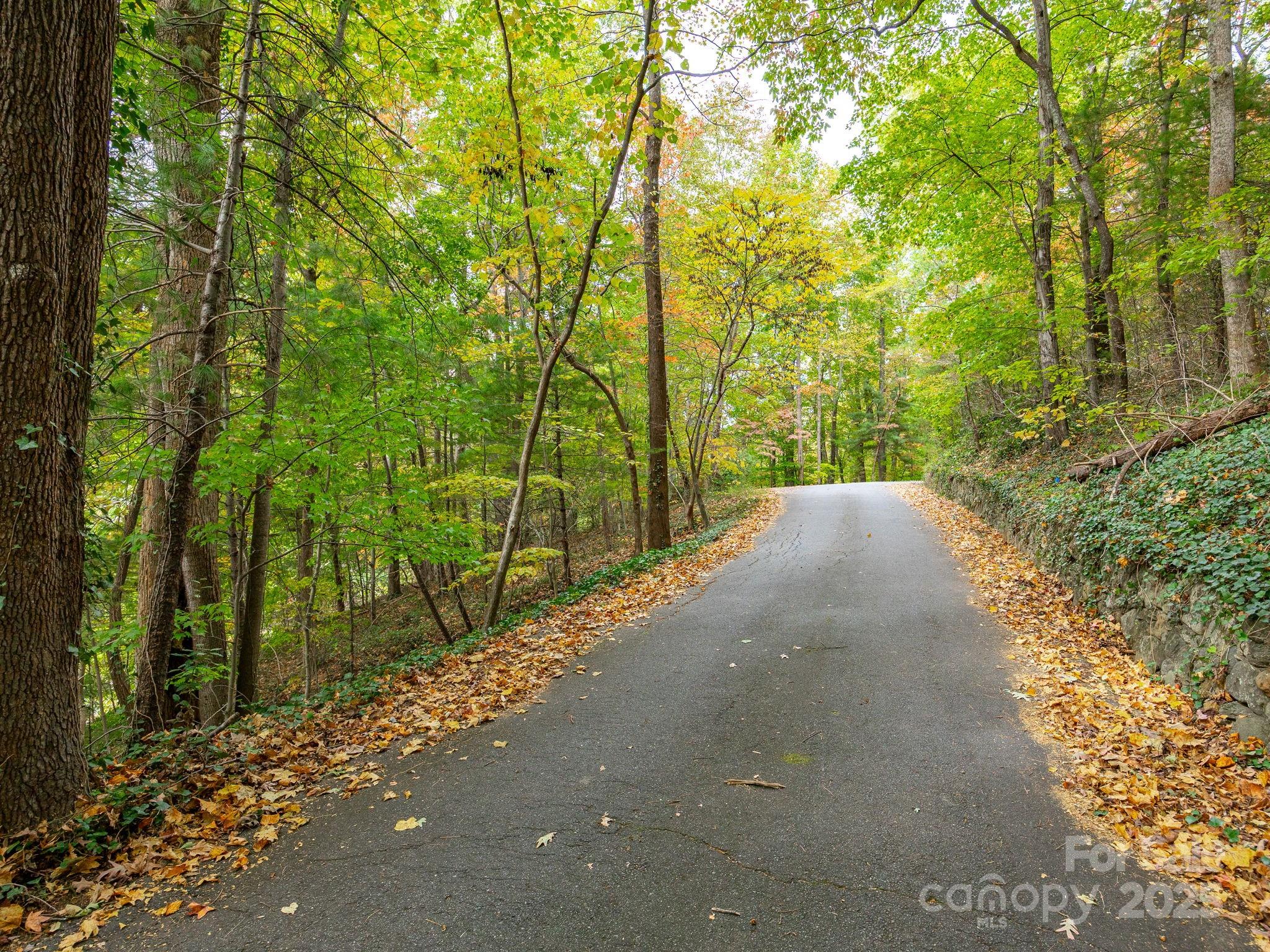 0 Fox Trot Lane Tryon, NC 28782 - Photo 2 of 20 a view of a road with plants and large trees