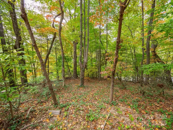 a backyard of a house with lots of green space and garden