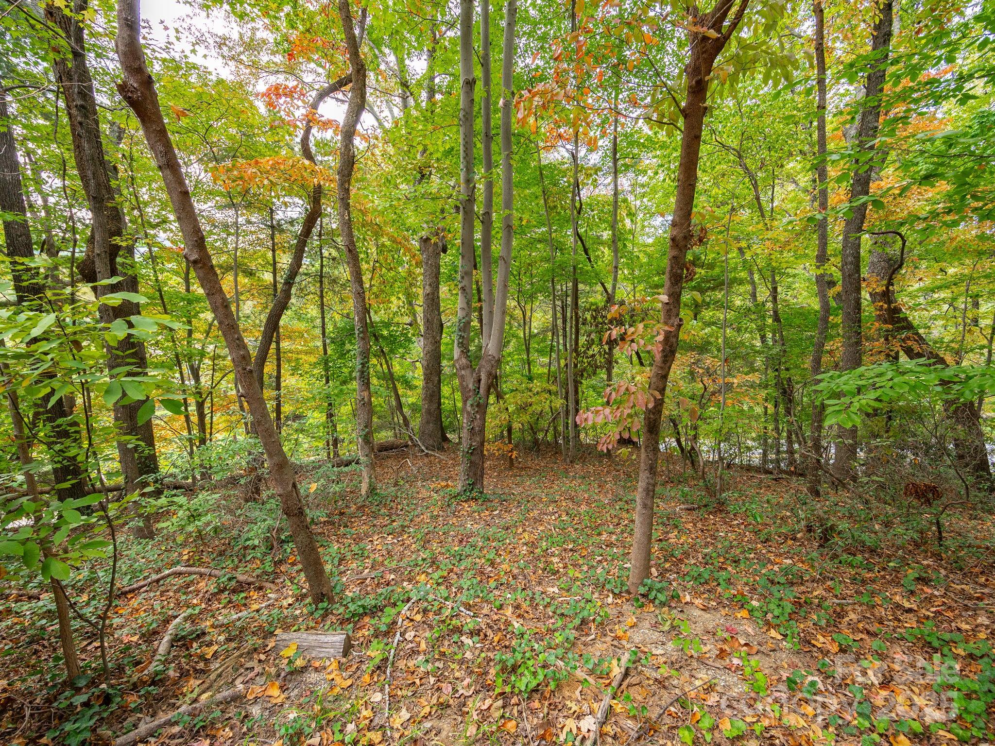 0 Fox Trot Lane Tryon, NC 28782 - Photo 3 of 20 a backyard of a house with lots of green space and garden