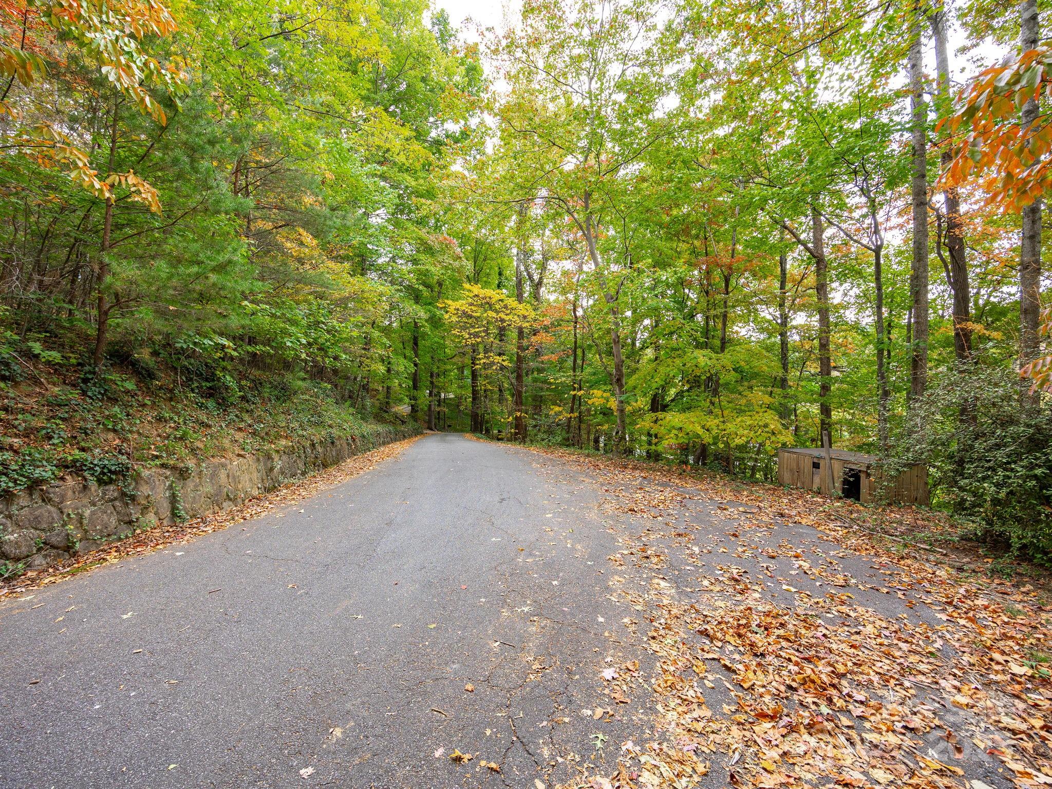 0 Fox Trot Lane Tryon, NC 28782 - Photo 4 of 20 a view of a dirt road with trees in the background