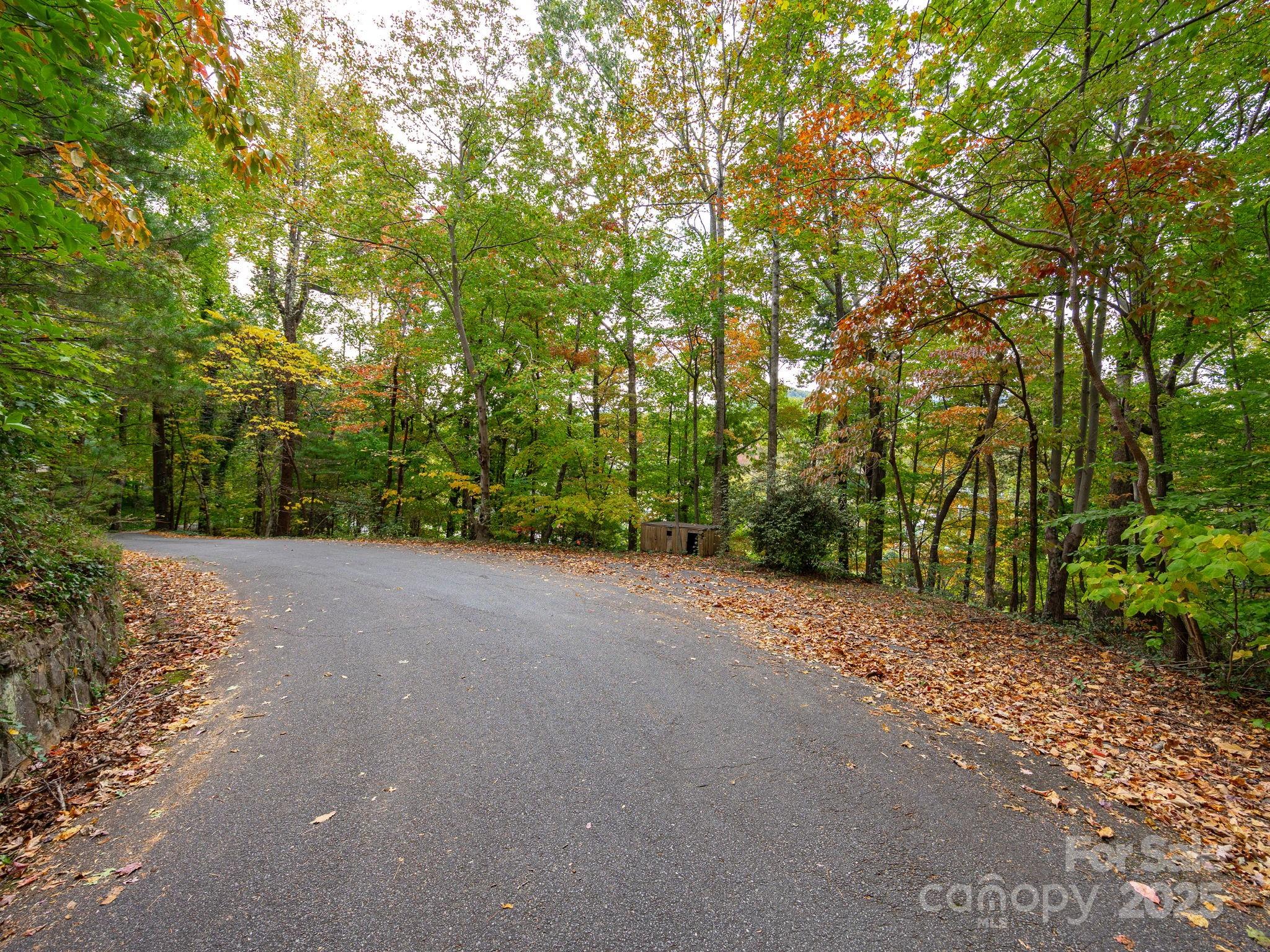 0 Fox Trot Lane Tryon, NC 28782 - Photo 5 of 20 a view of a field with trees in front of it