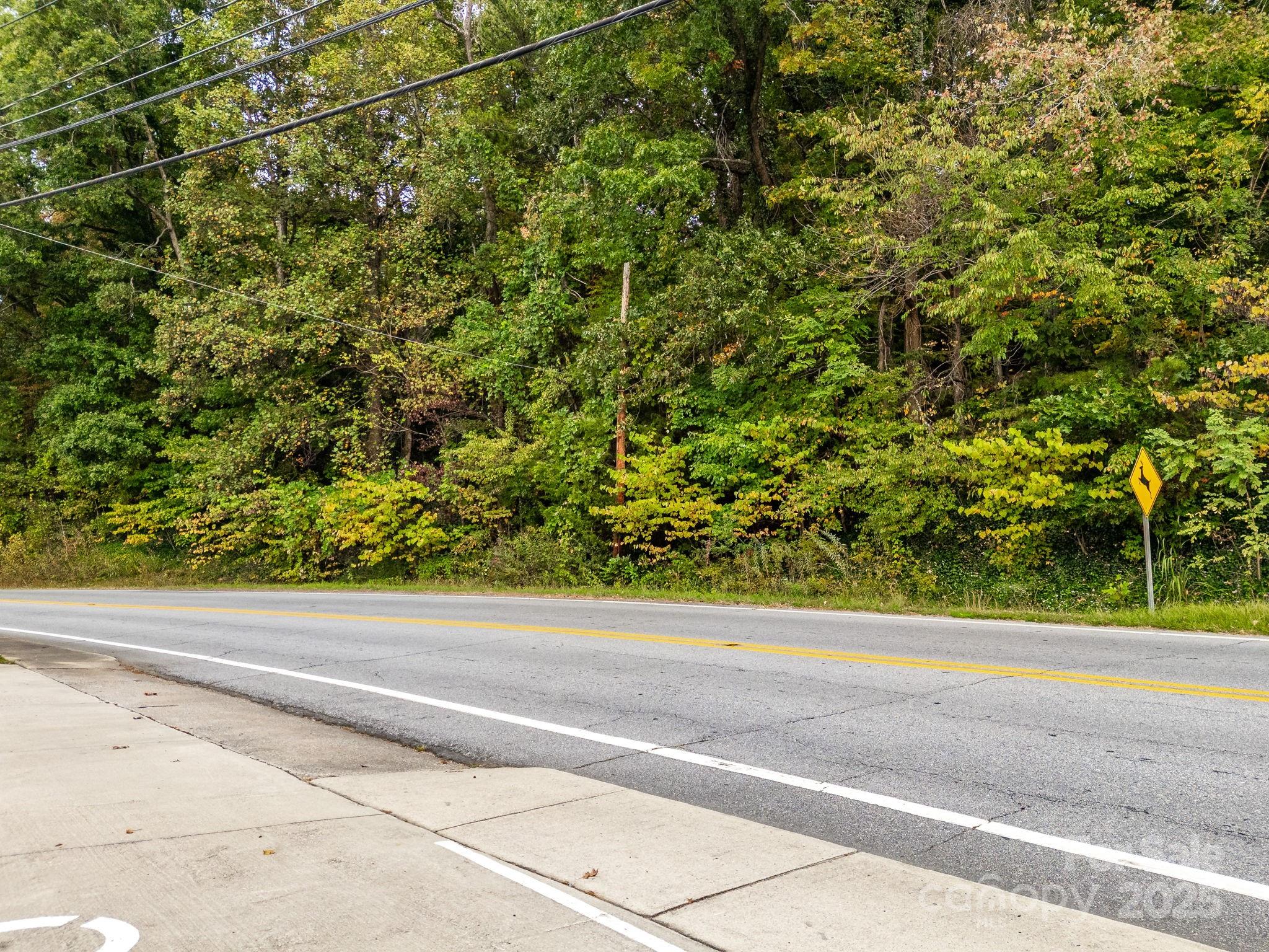 0 Fox Trot Lane Tryon, NC 28782 - Photo 6 of 20 a view of a space with a street
