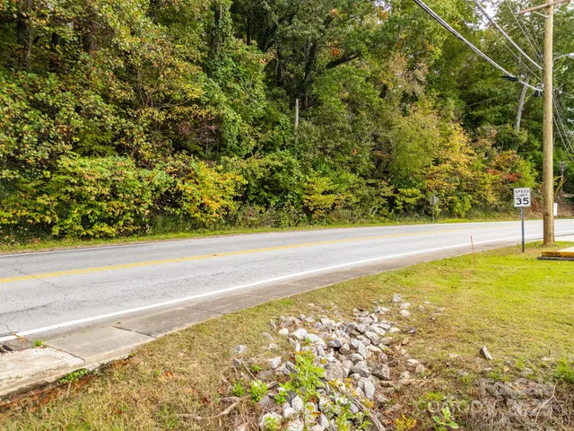 a view of yard with large trees