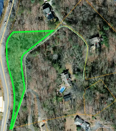 a view of a yard with plants and large trees