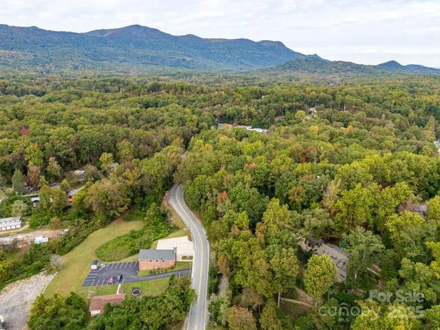 a view of a lush green forest with trees in the background