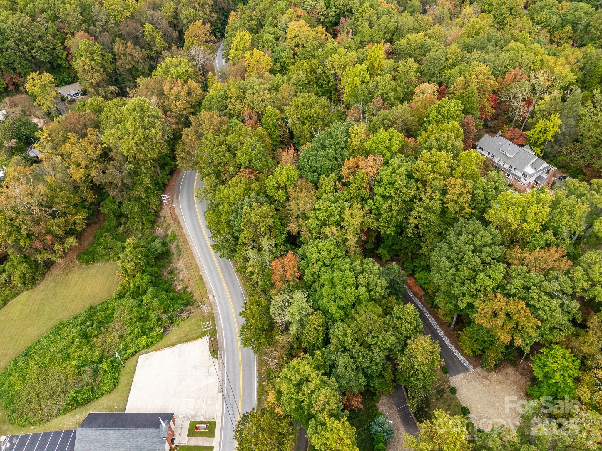 0 Fox Trot Lane Tryon, NC 28782 - Photo 10 of 20 a view of a yard with plants