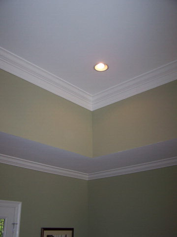 8886 Lake View Drive Fairhope, AL 36532 - Photo 7 of 19 Tray Ceiling