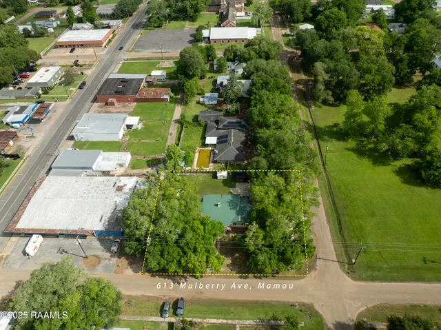 $168,000 | 613 Mulberry Street, Mamou, LA 70554